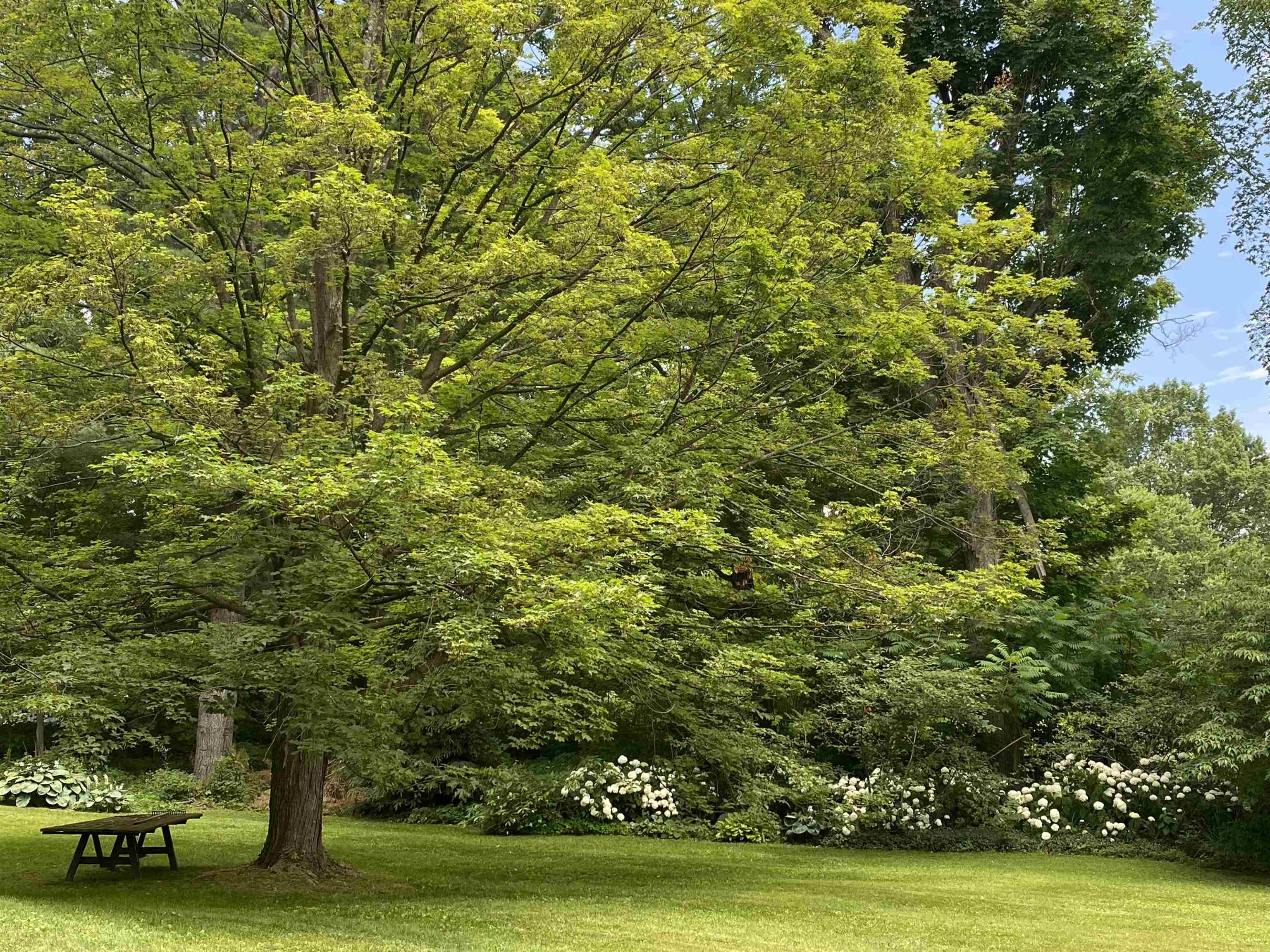 Salisbury, Vermont 05769, United States, 3 Bedrooms Bedrooms, ,2 BathroomsBathrooms,Residential,Active,170203