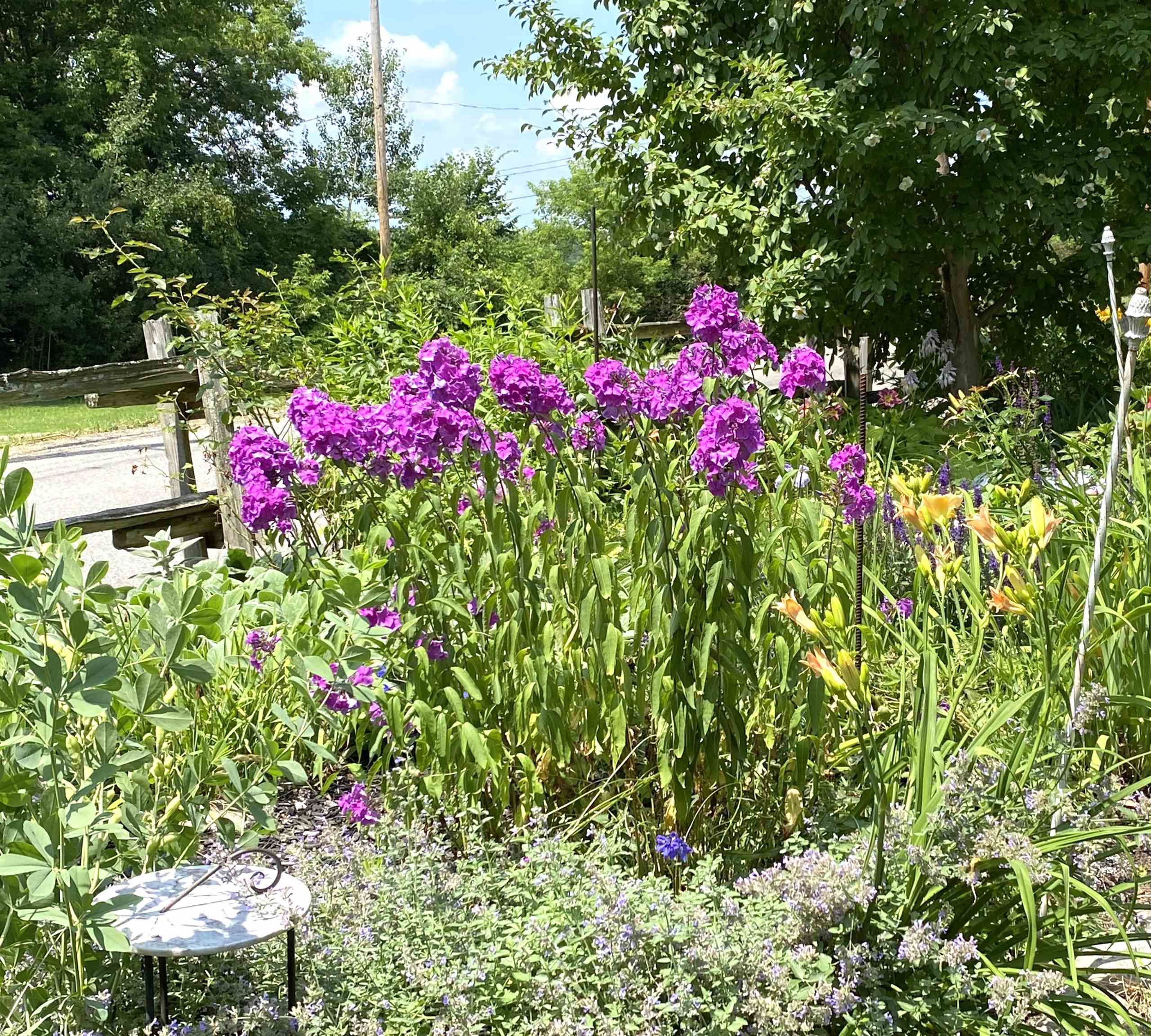 Salisbury, Vermont 05769, United States, 3 Bedrooms Bedrooms, ,2 BathroomsBathrooms,Residential,Active,170203