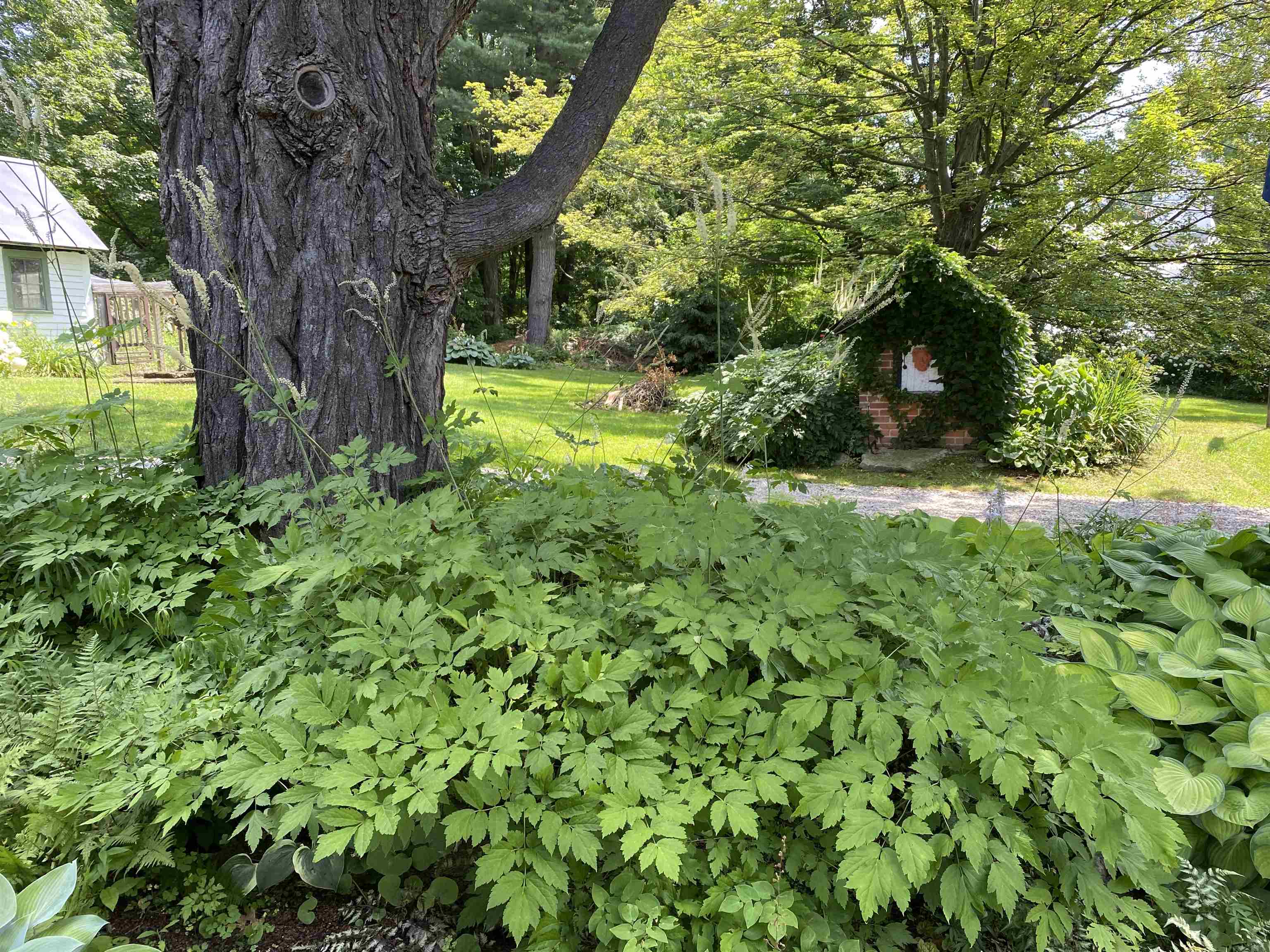 Salisbury, Vermont 05769, United States, 3 Bedrooms Bedrooms, ,2 BathroomsBathrooms,Residential,Active,170203