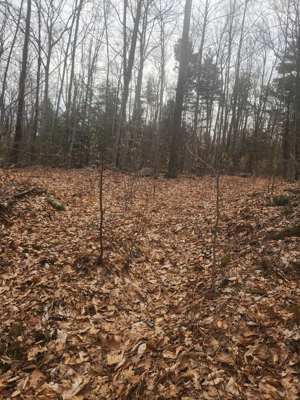 Photo of 0 Attleboro Mountain Road #23 &amp; 26, Richmond, NH 03470 (MLS # 5040264)