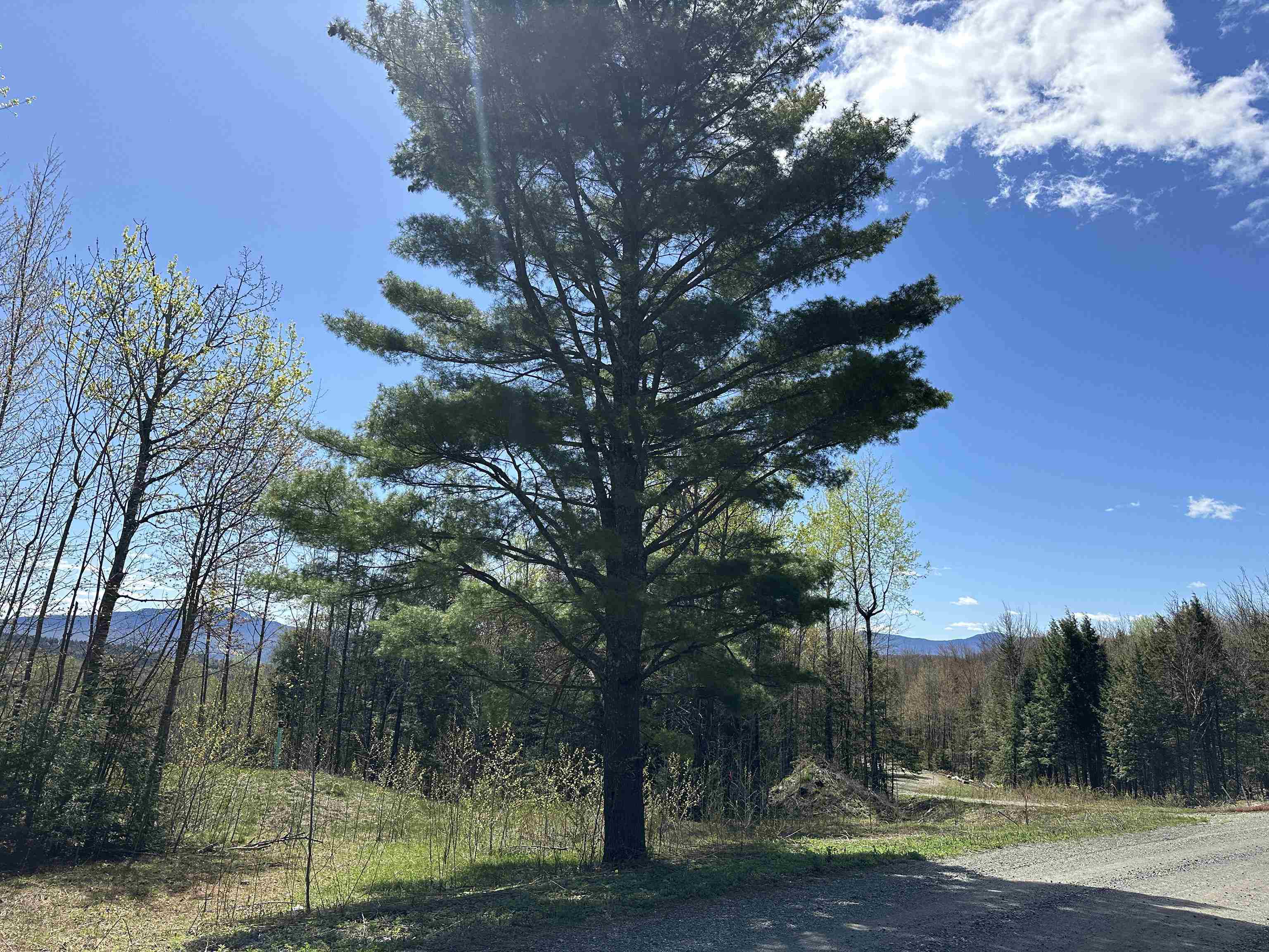 Morristown, Vermont 05661, United States, ,Land,Active,130038