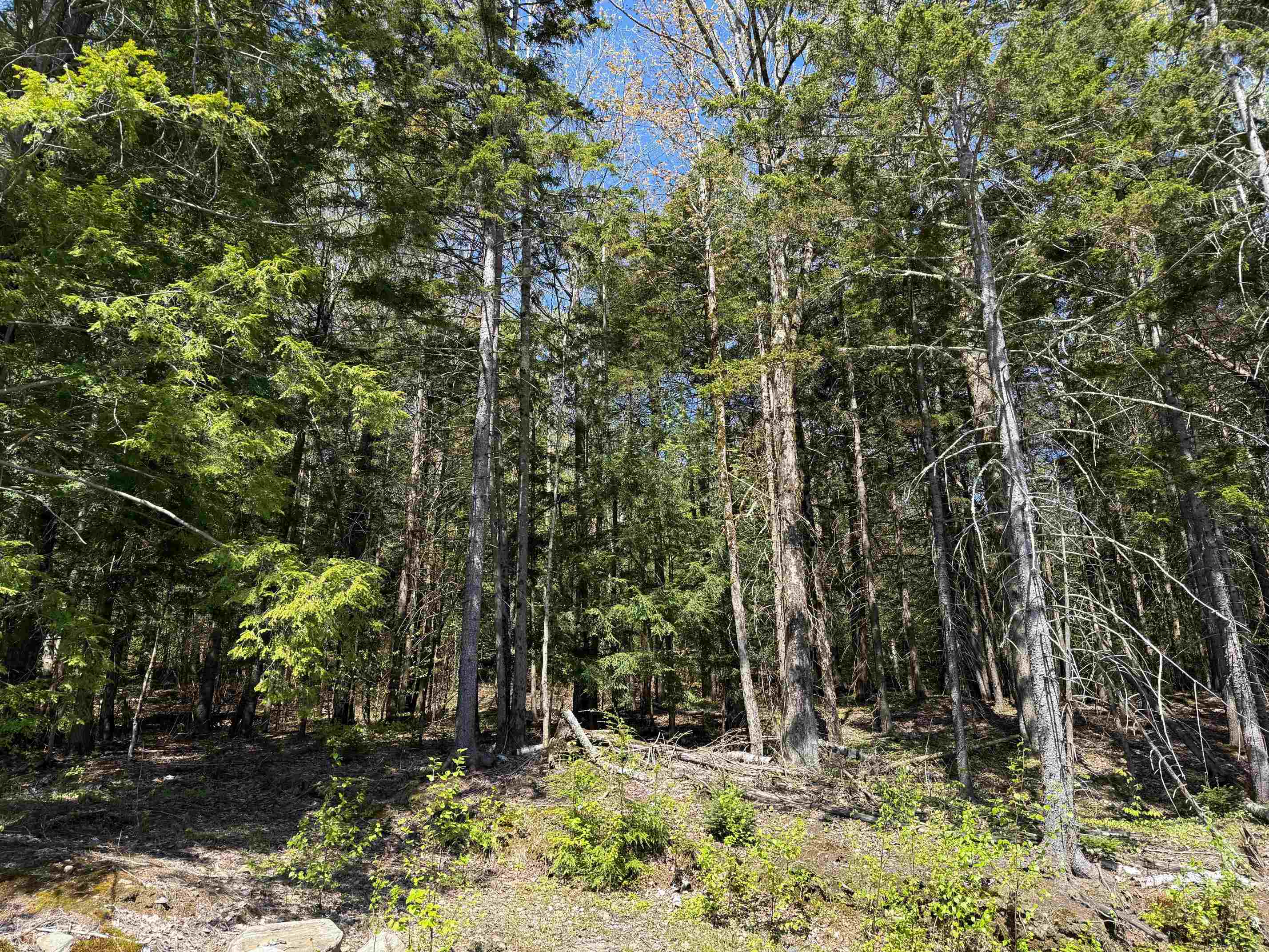 274 Deerfield Hills Road