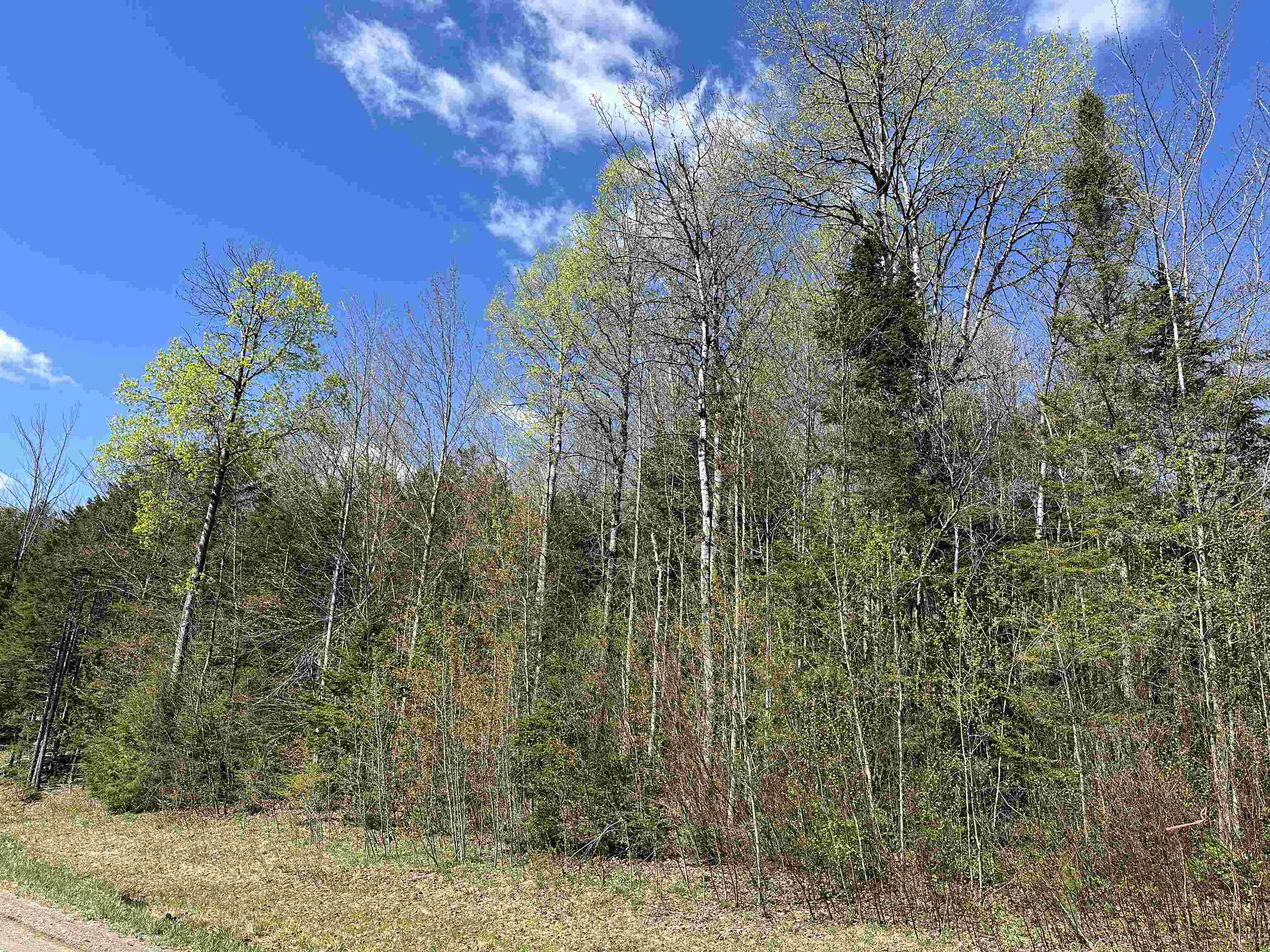 Morristown, Vermont 05661, United States, ,Land,Active,130038