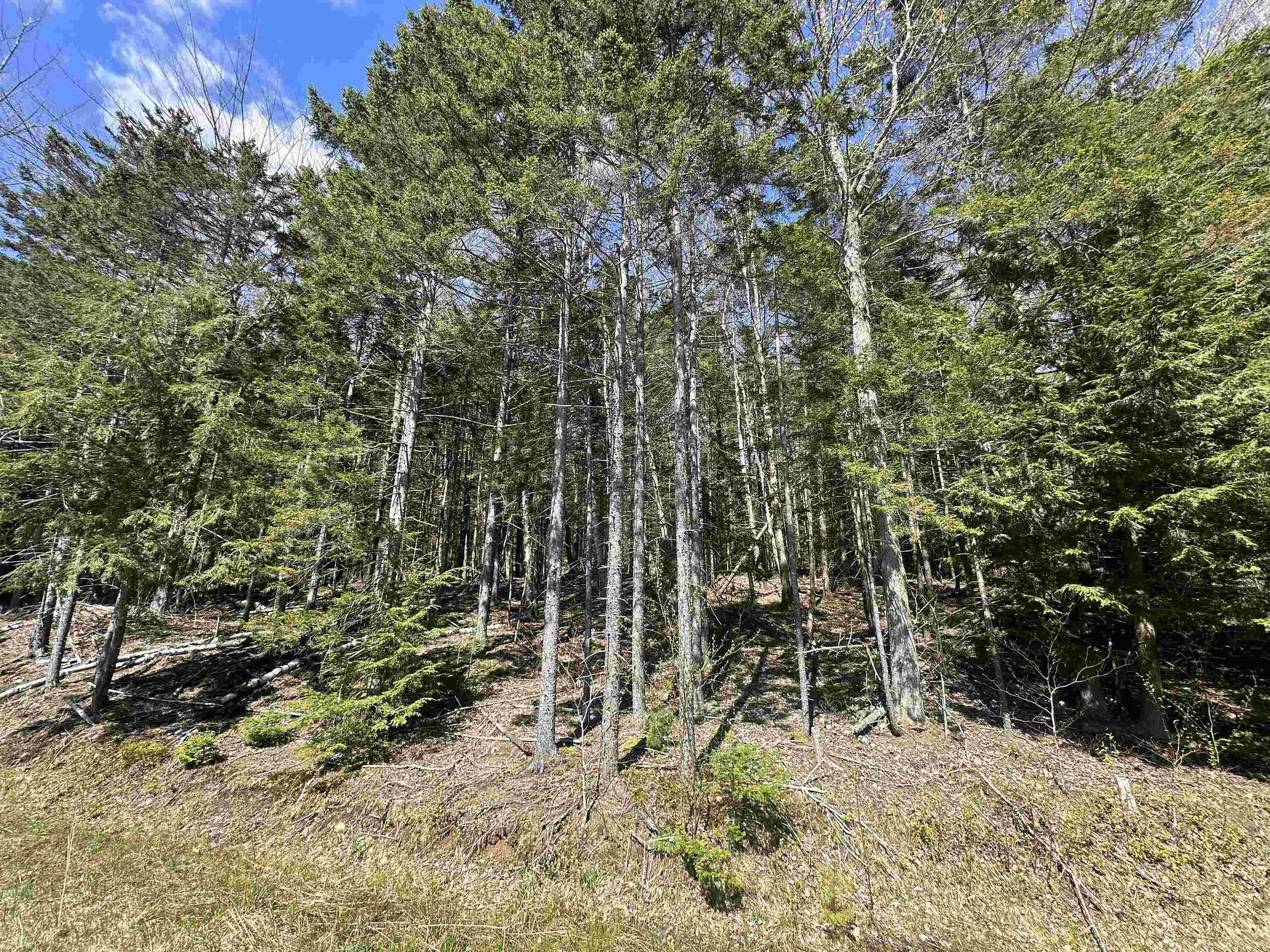 274 Deerfield Hills Road