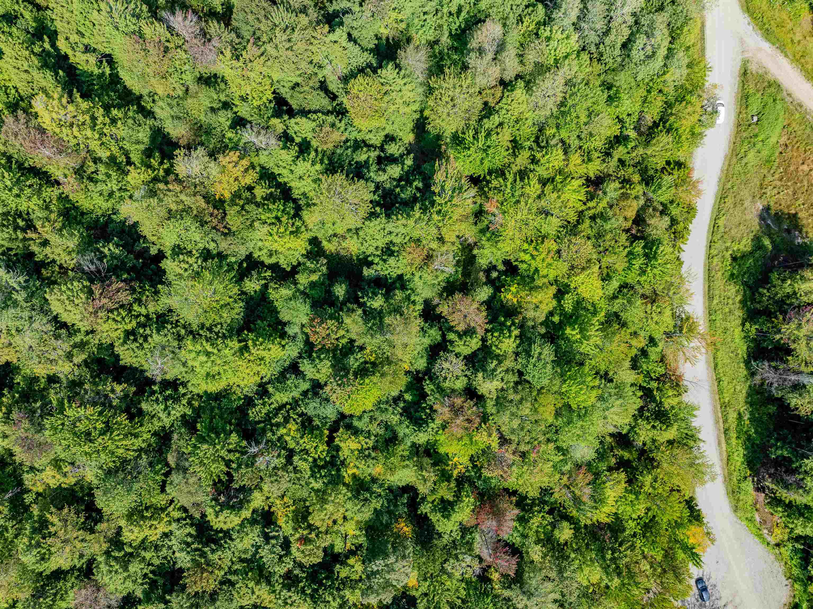 Morristown, Vermont 05661, United States, ,Land,Active,130038