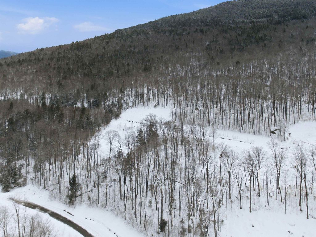 Photo of 8 Buck Road, Lincoln, NH 03251 (MLS # 5078687)