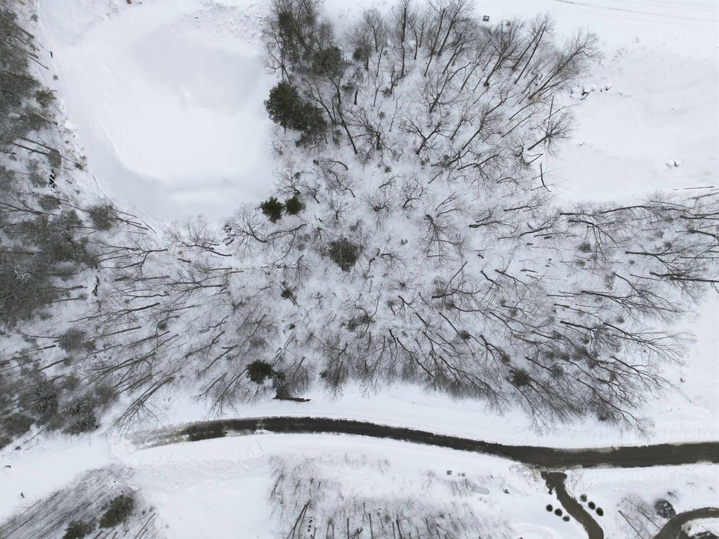 Photo of 8 Buck Road, Lincoln, NH 03251 (MLS # 5078687)