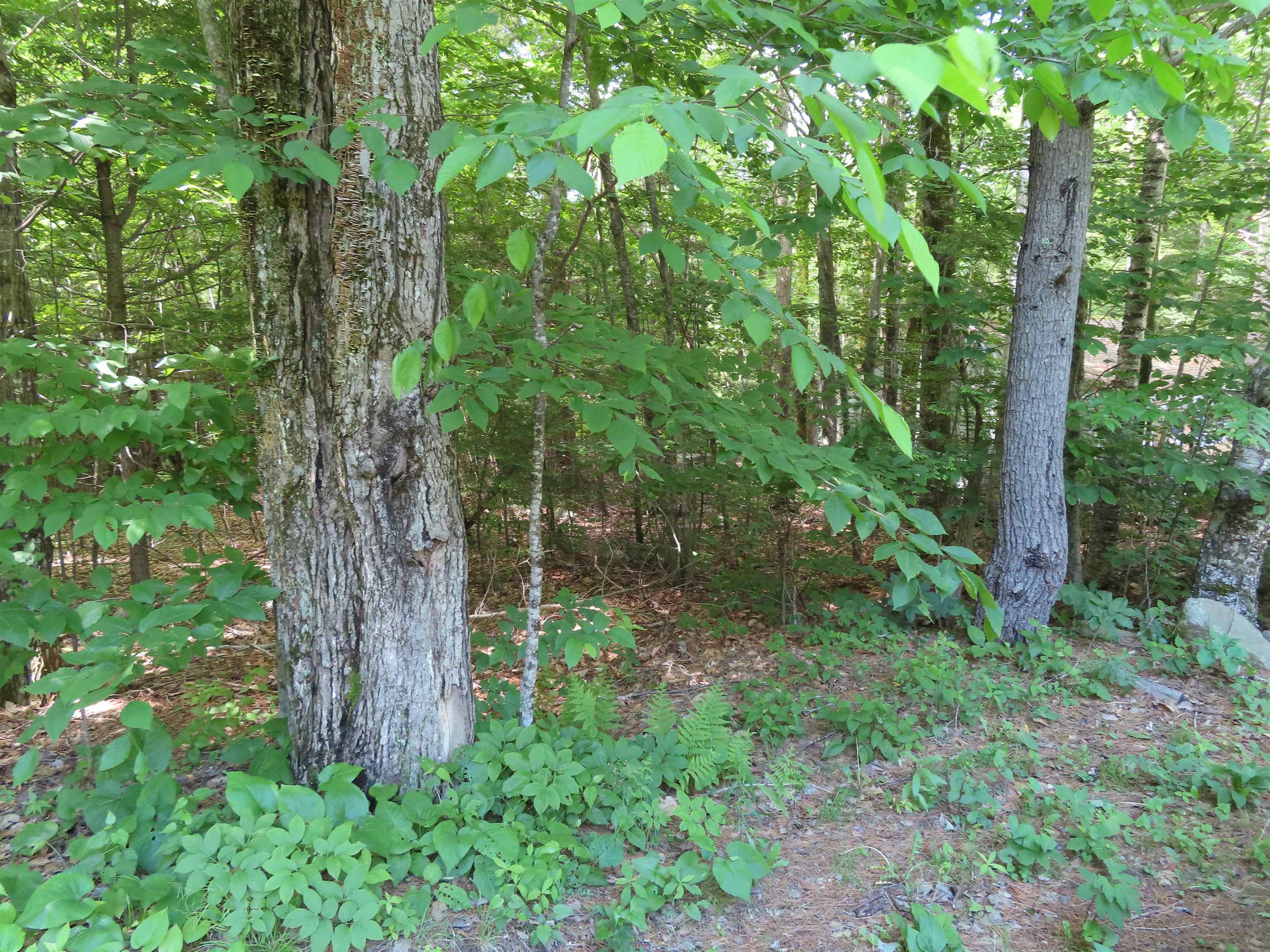 Lots 134-135 Wendy Drive