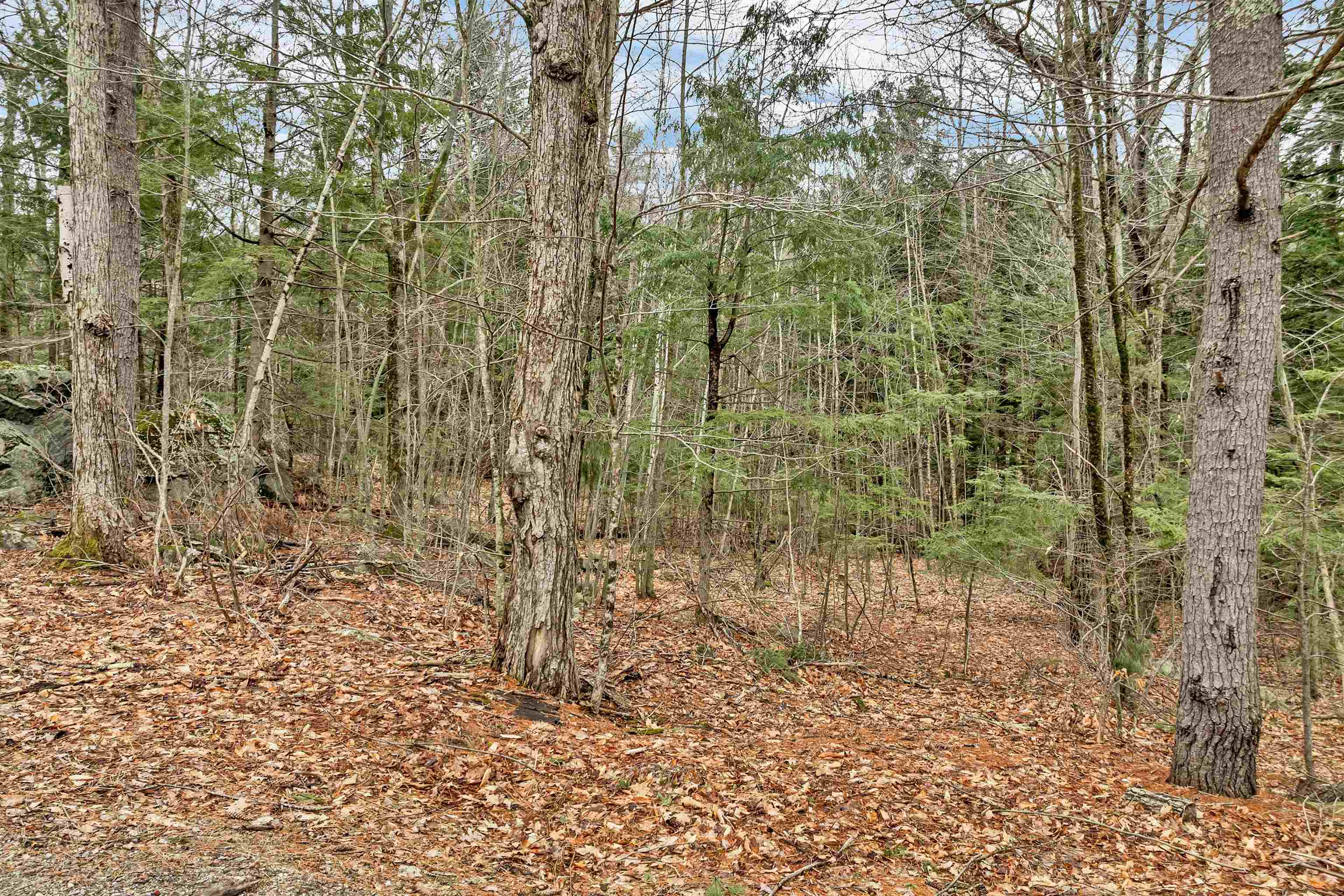 Lots 134-135 Wendy Drive