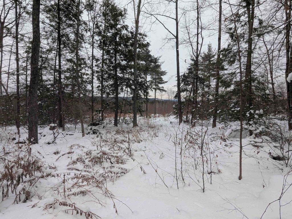 Photo of 5862 Duggin Road, Wilton, NH 03086 (MLS # 5074637)