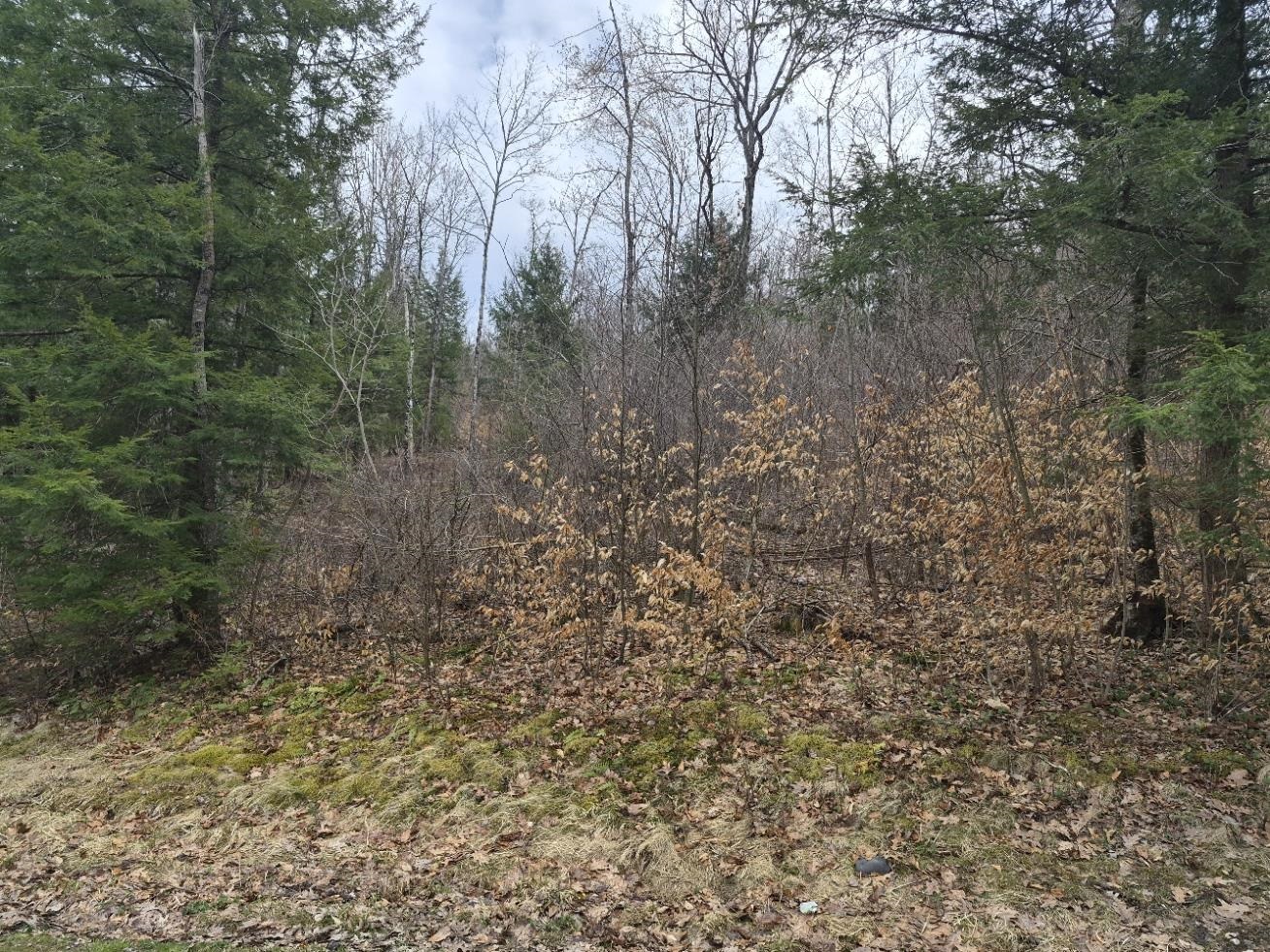 Photo 1 of 5 — Pond Road 1, Rockingham, VT 05346