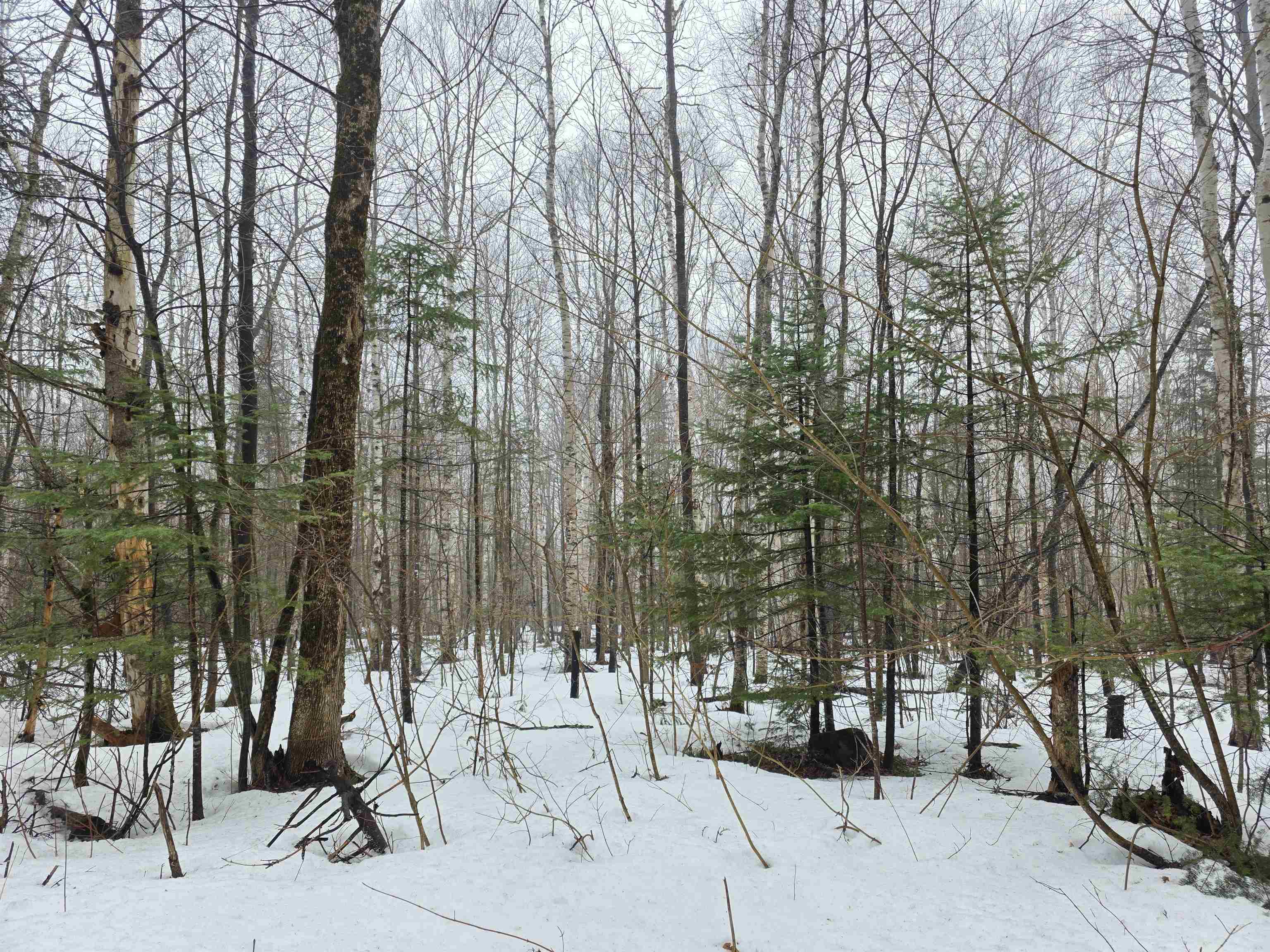 1500 Allard Hill Road