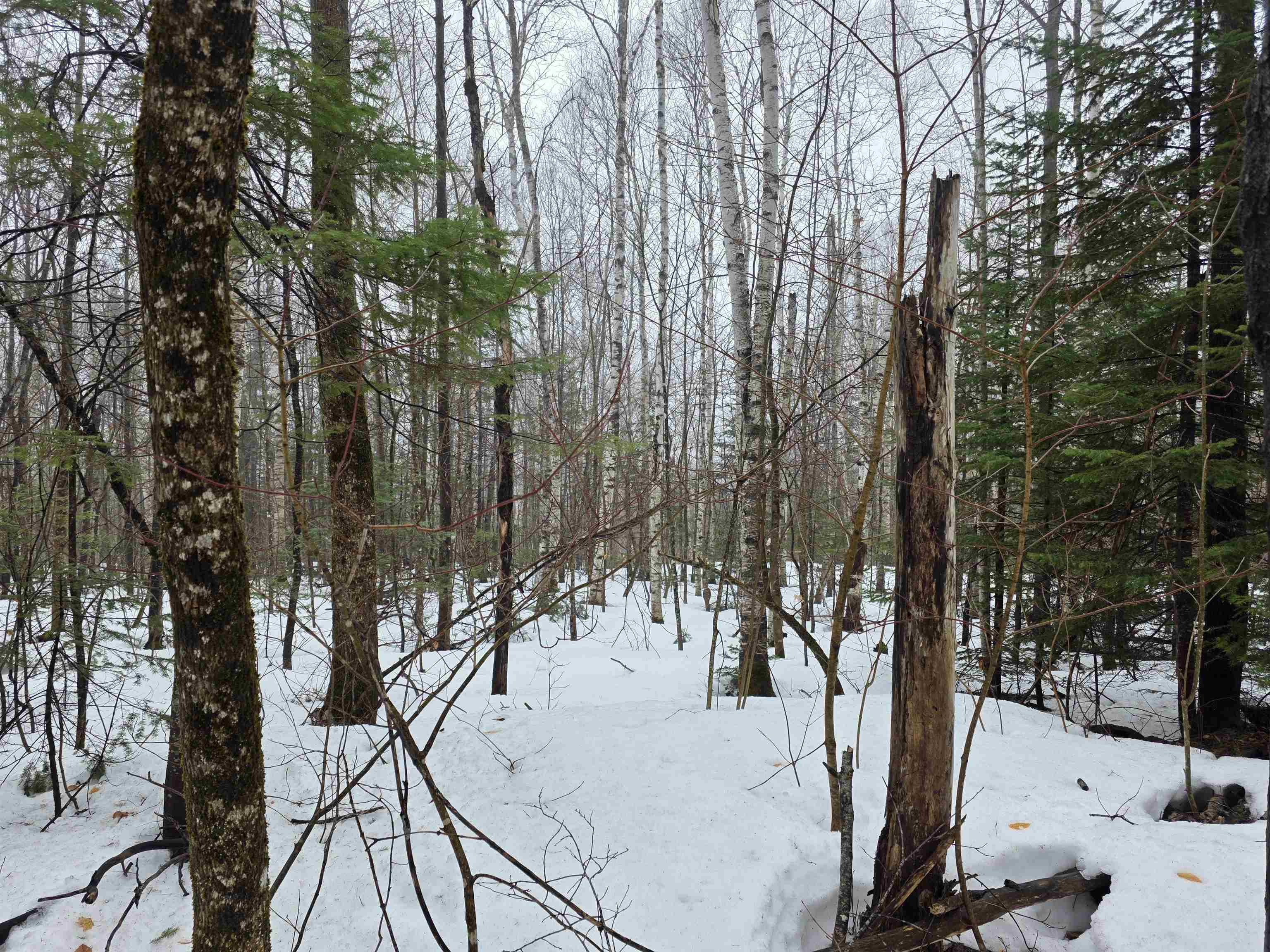 1500 Allard Hill Road