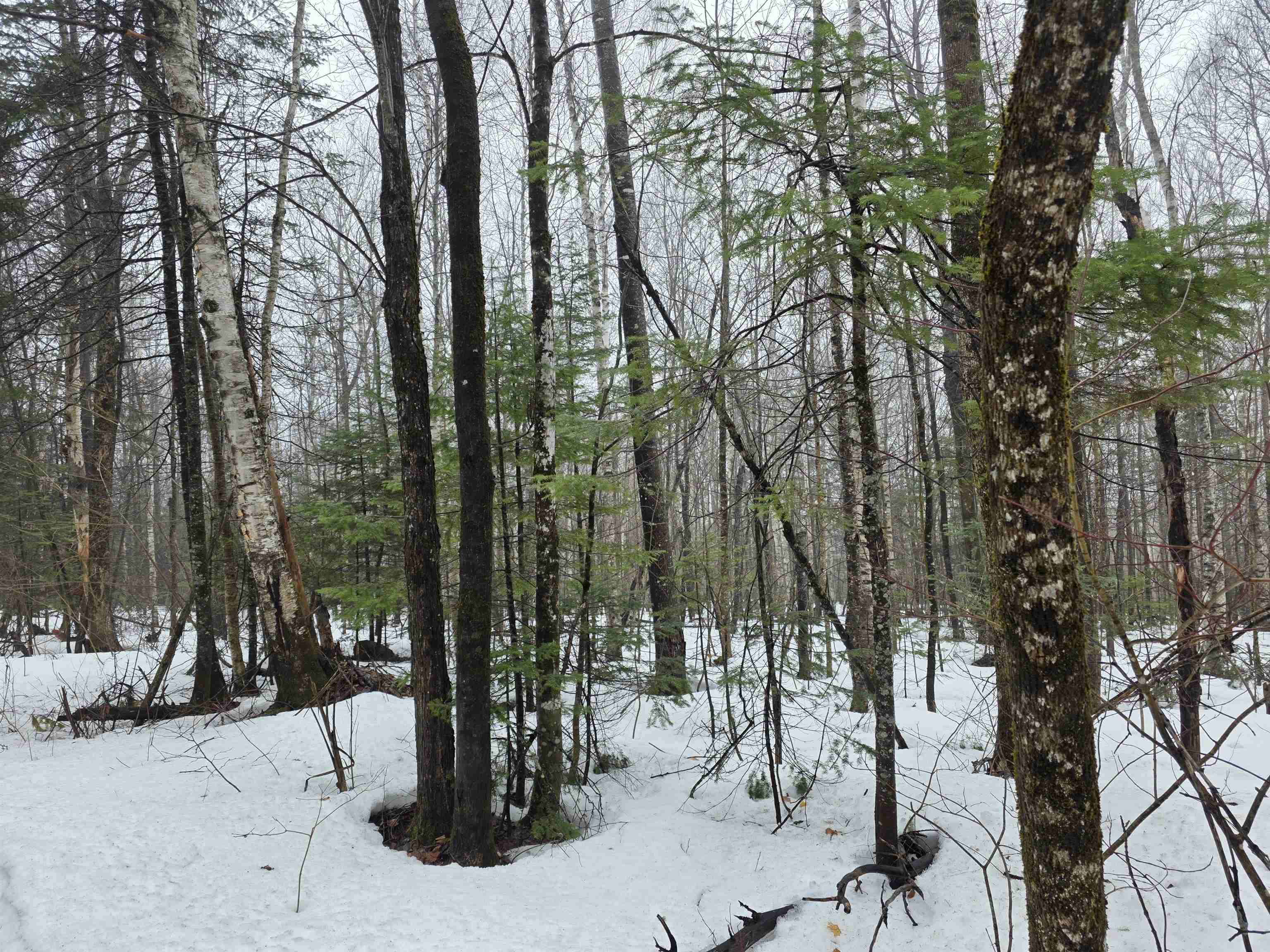 1500 Allard Hill Road