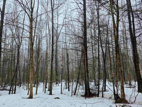 1500 Allard Hill Road Wheelock VT 05851