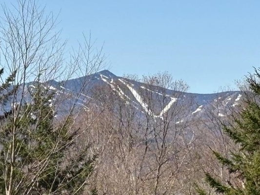 0 WALKER HILL ROAD, BRIDGEWATER, VT 05034 - Image c8d10fa89b30653969ff6573d8486d4f/3071010572