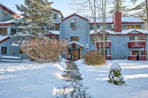 Photo of 10 River Run Drive #G, Bartlett, NH 03812 (MLS # 5070804)