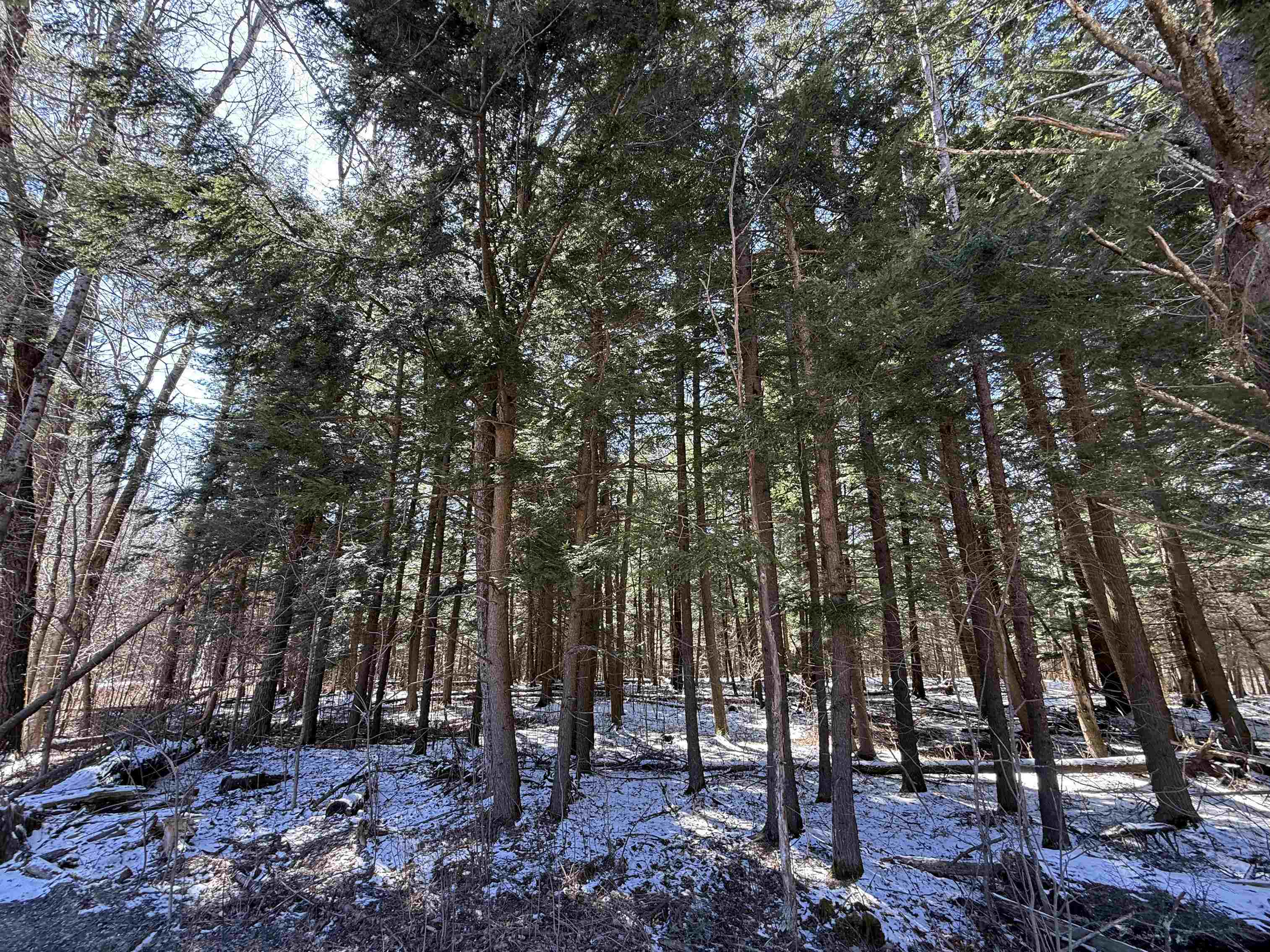 Johnson, Vermont 05656, United States, ,Land,Active,101555