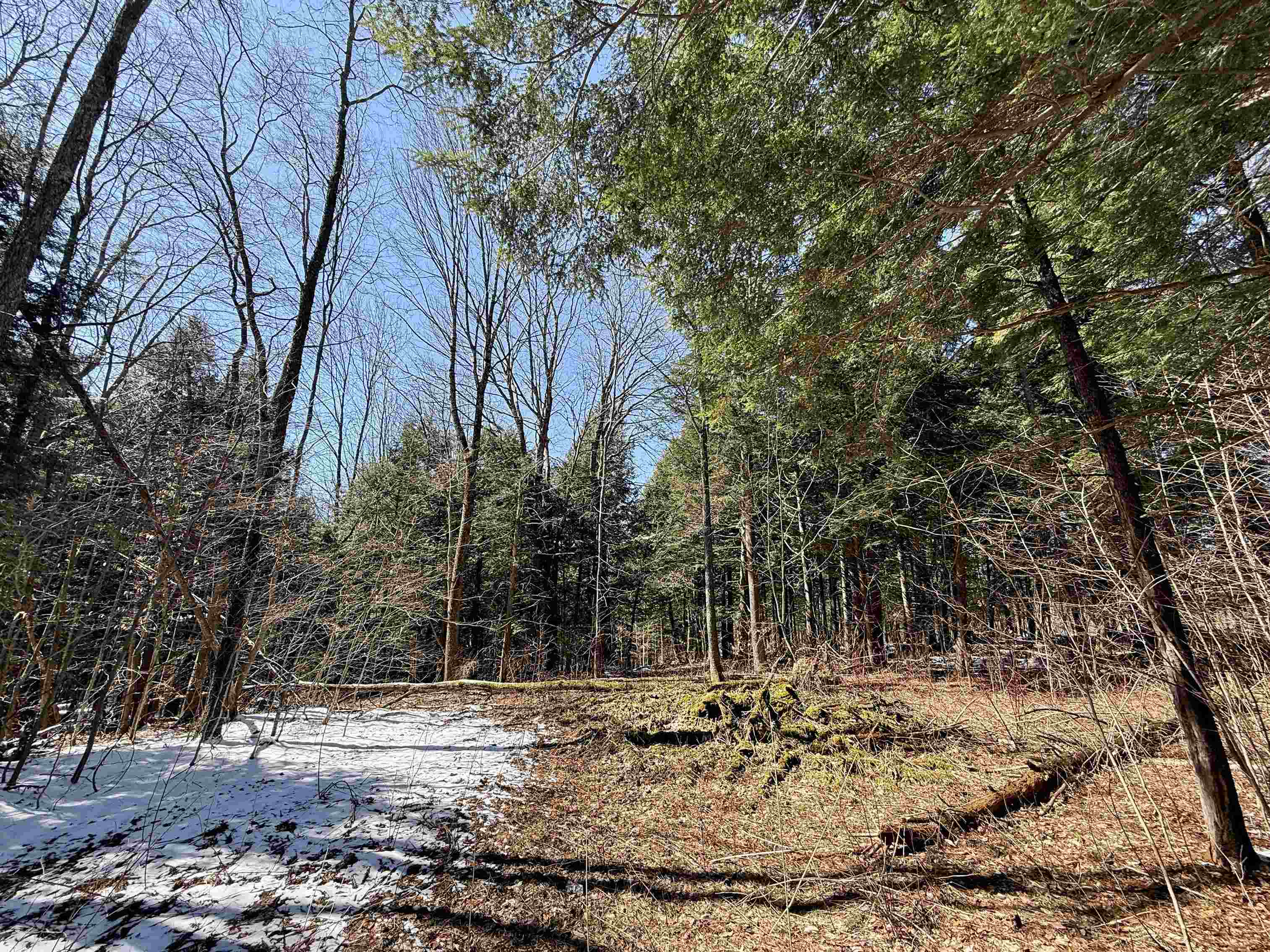 Johnson, Vermont 05656, United States, ,Land,Active,101555