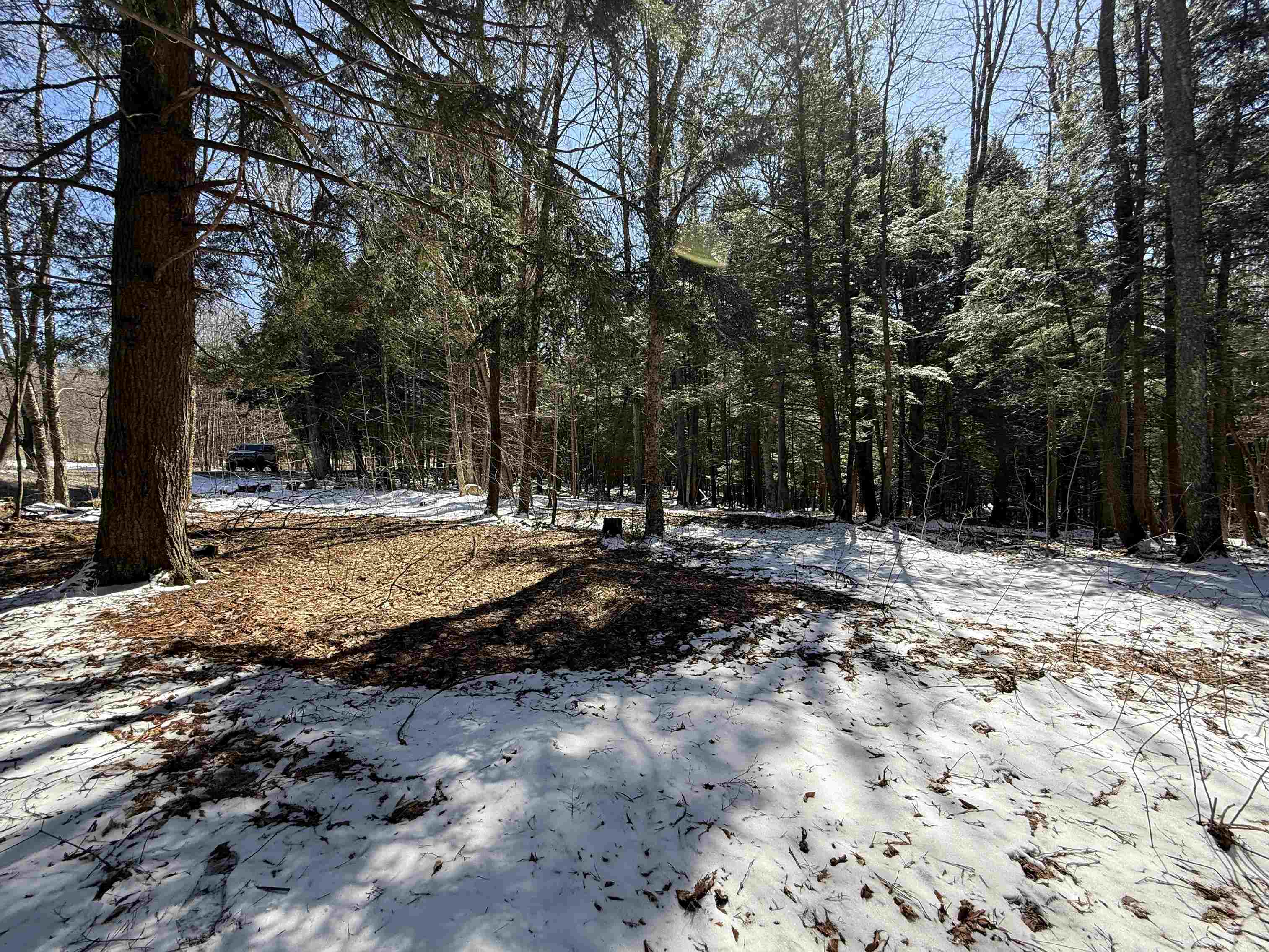 Johnson, Vermont 05656, United States, ,Land,Active,101555