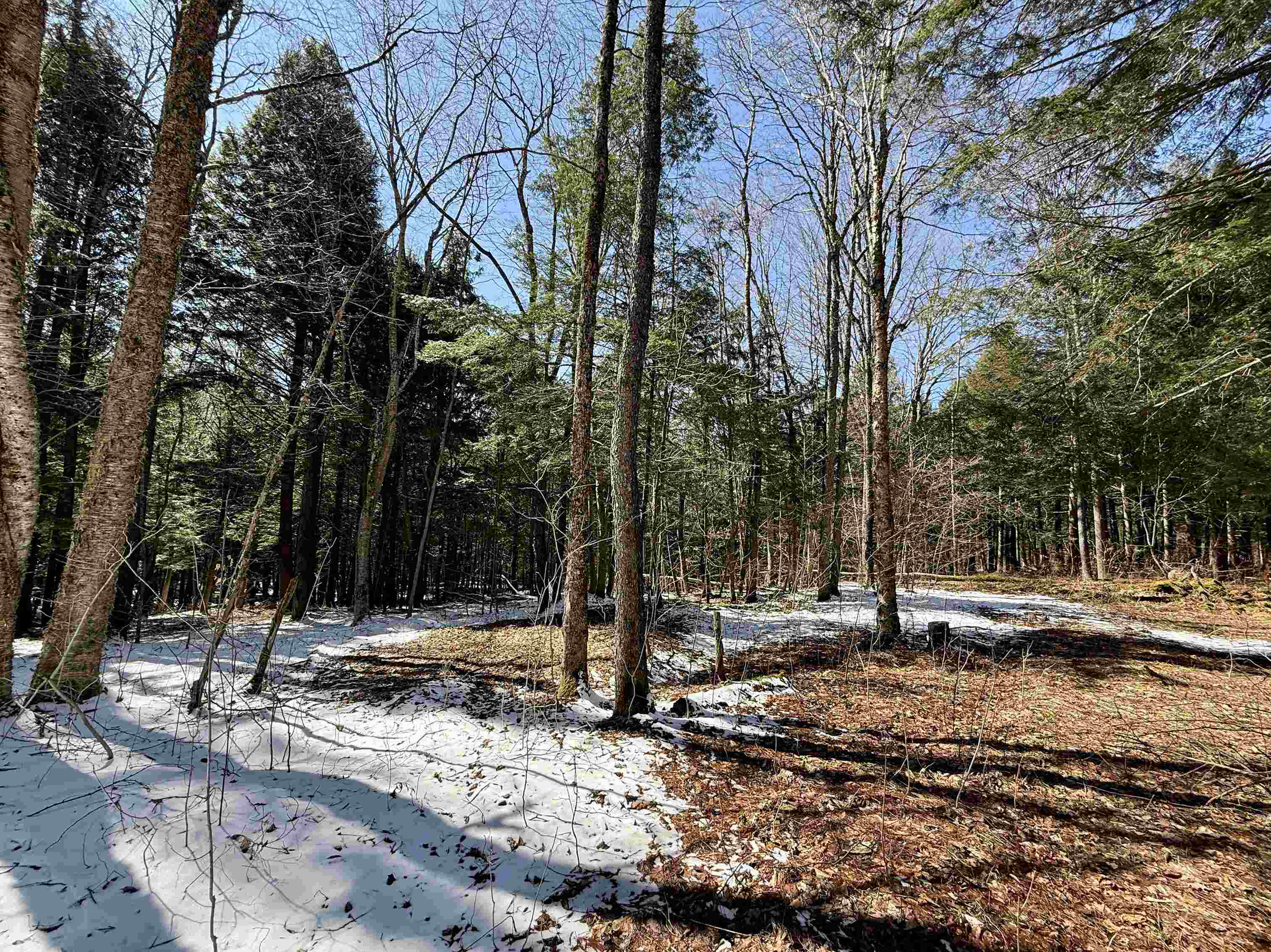 Johnson, Vermont 05656, United States, ,Land,Active,101555