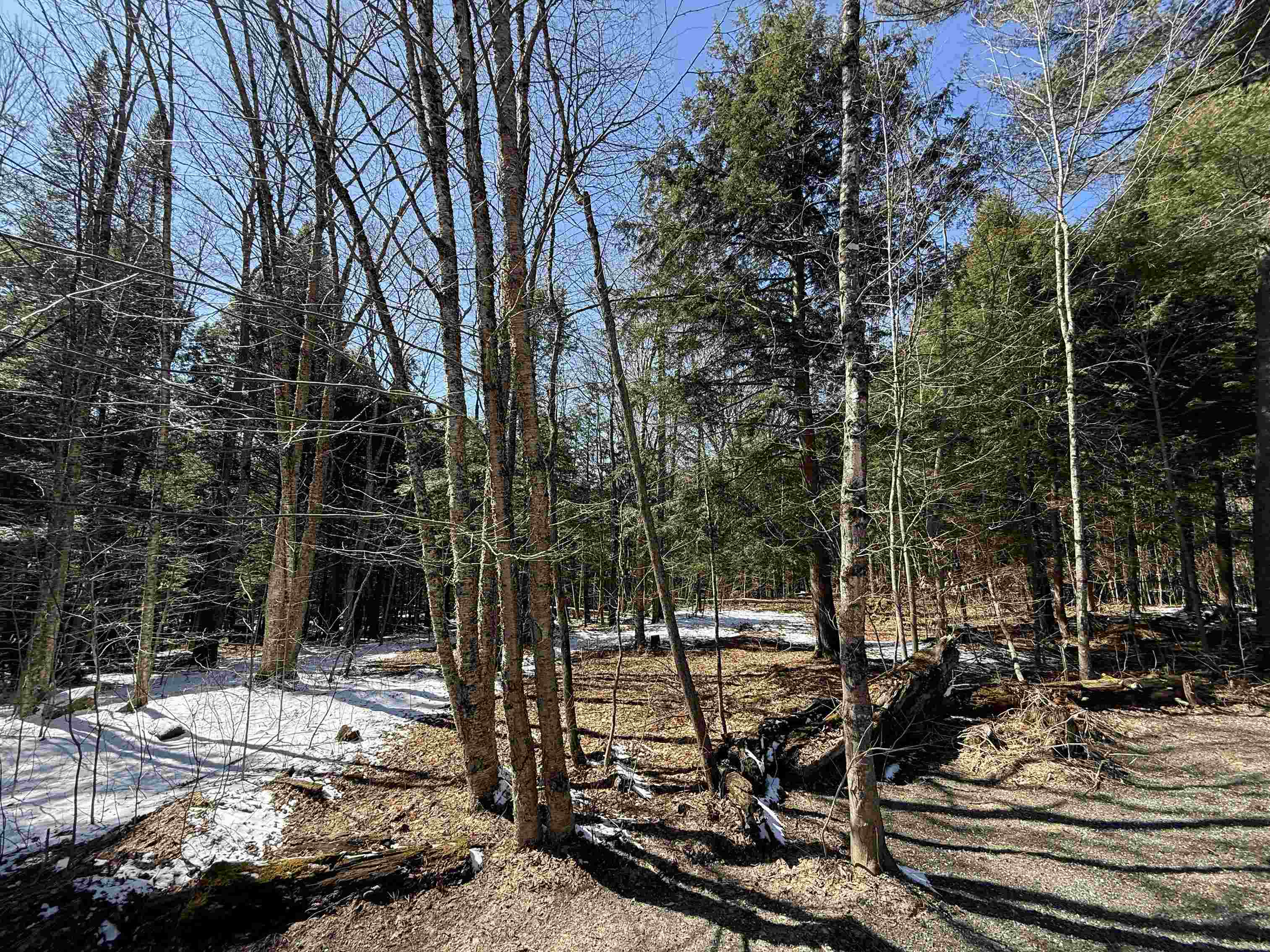 Johnson, Vermont 05656, United States, ,Land,Active,101555