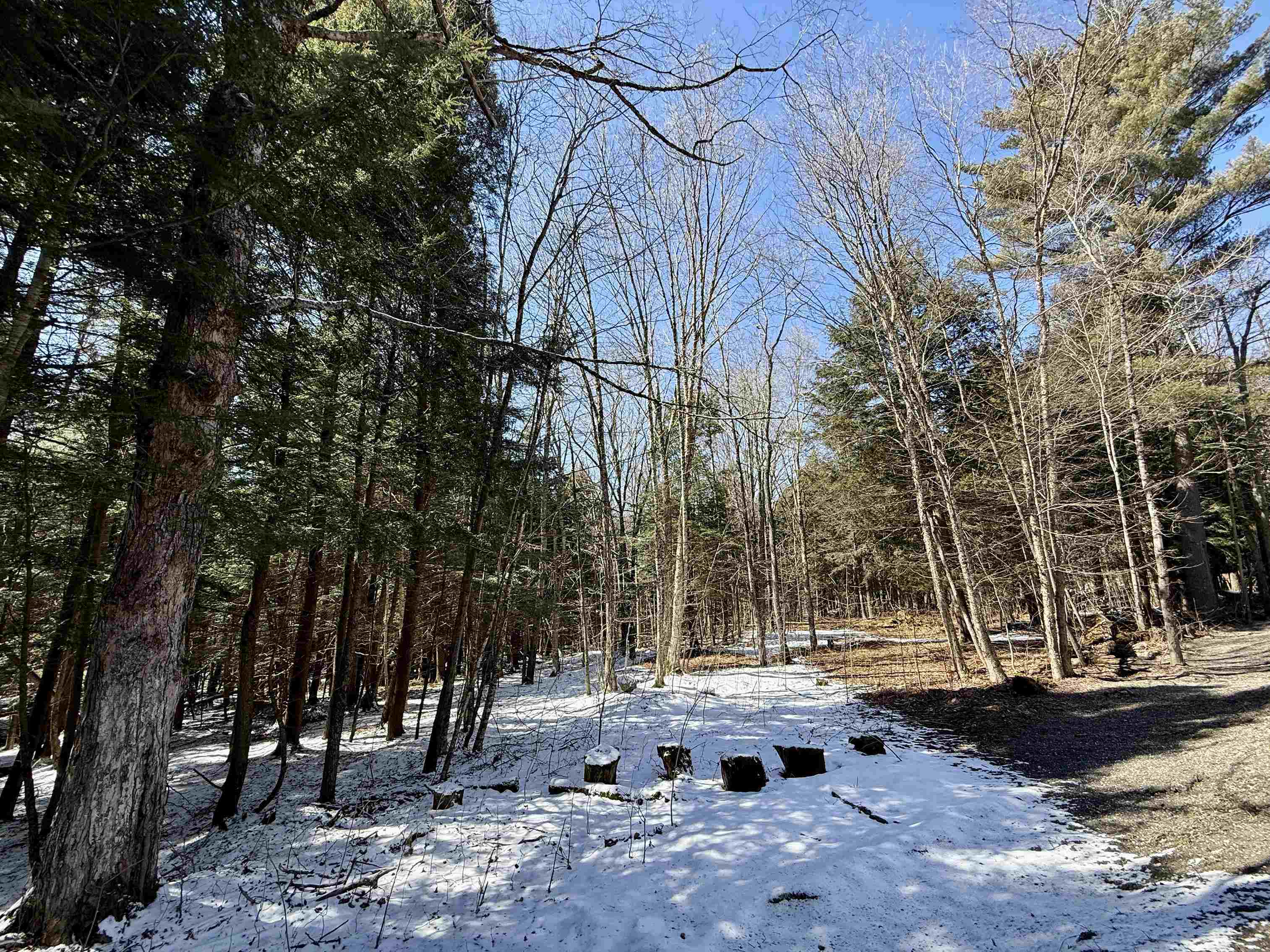 Johnson, Vermont 05656, United States, ,Land,Active,101555