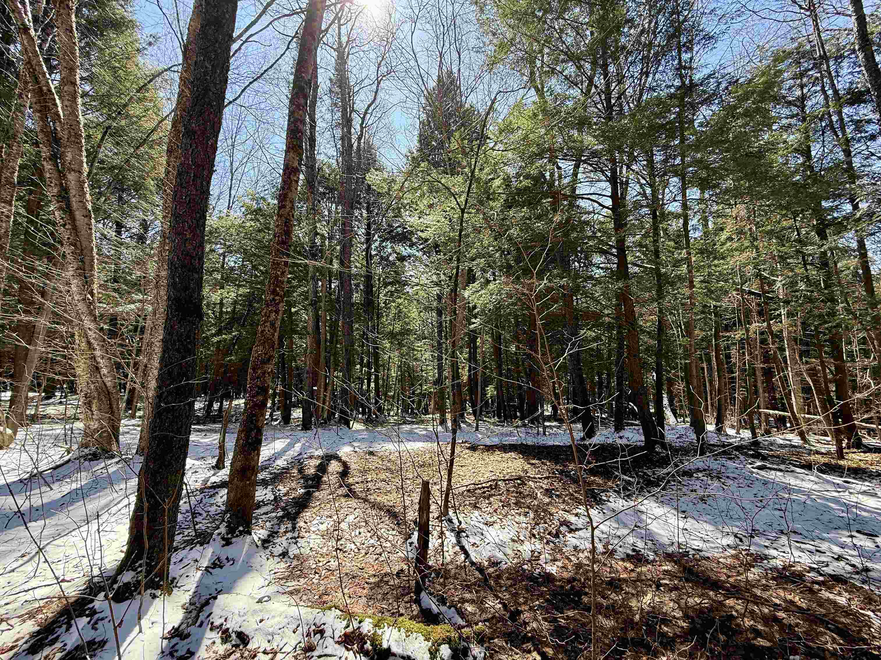 Johnson, Vermont 05656, United States, ,Land,Active,101555