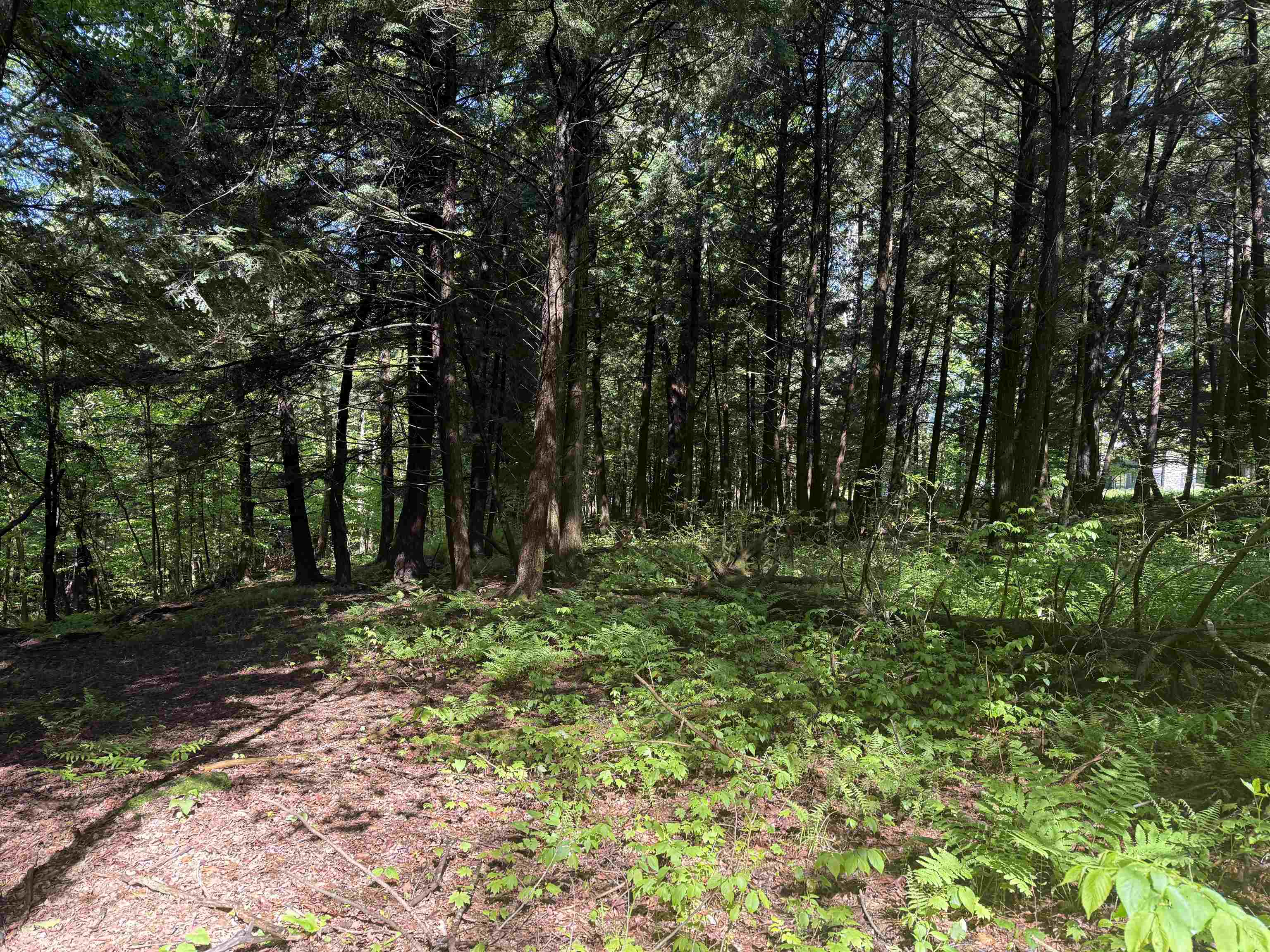 TBD Plot Road
