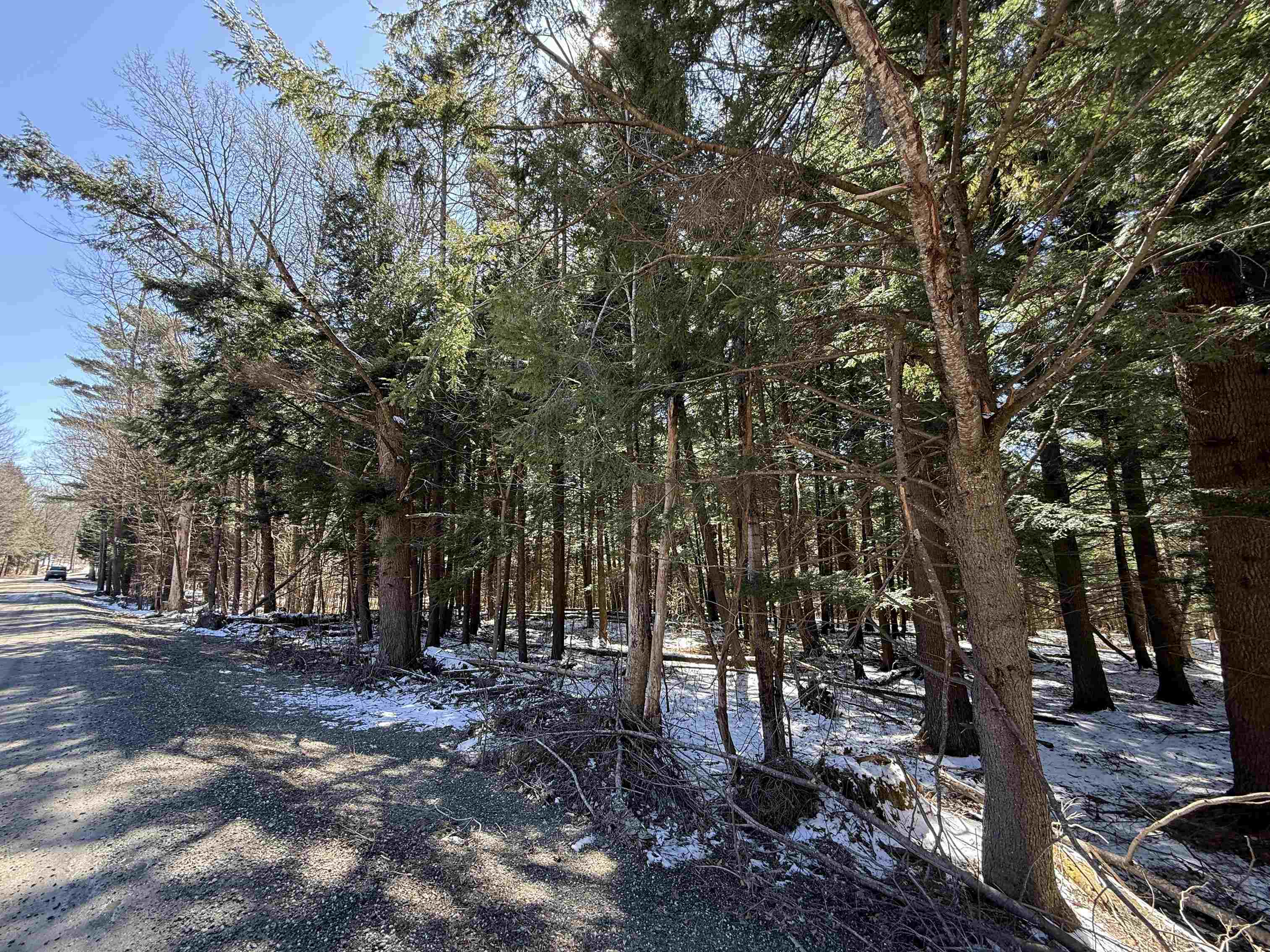 Johnson, Vermont 05656, United States, ,Land,Active,101555