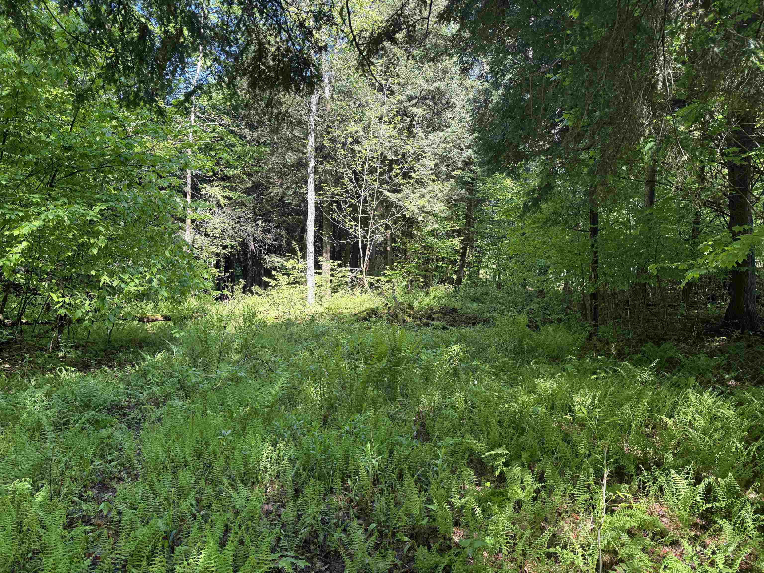 TBD Plot Road
