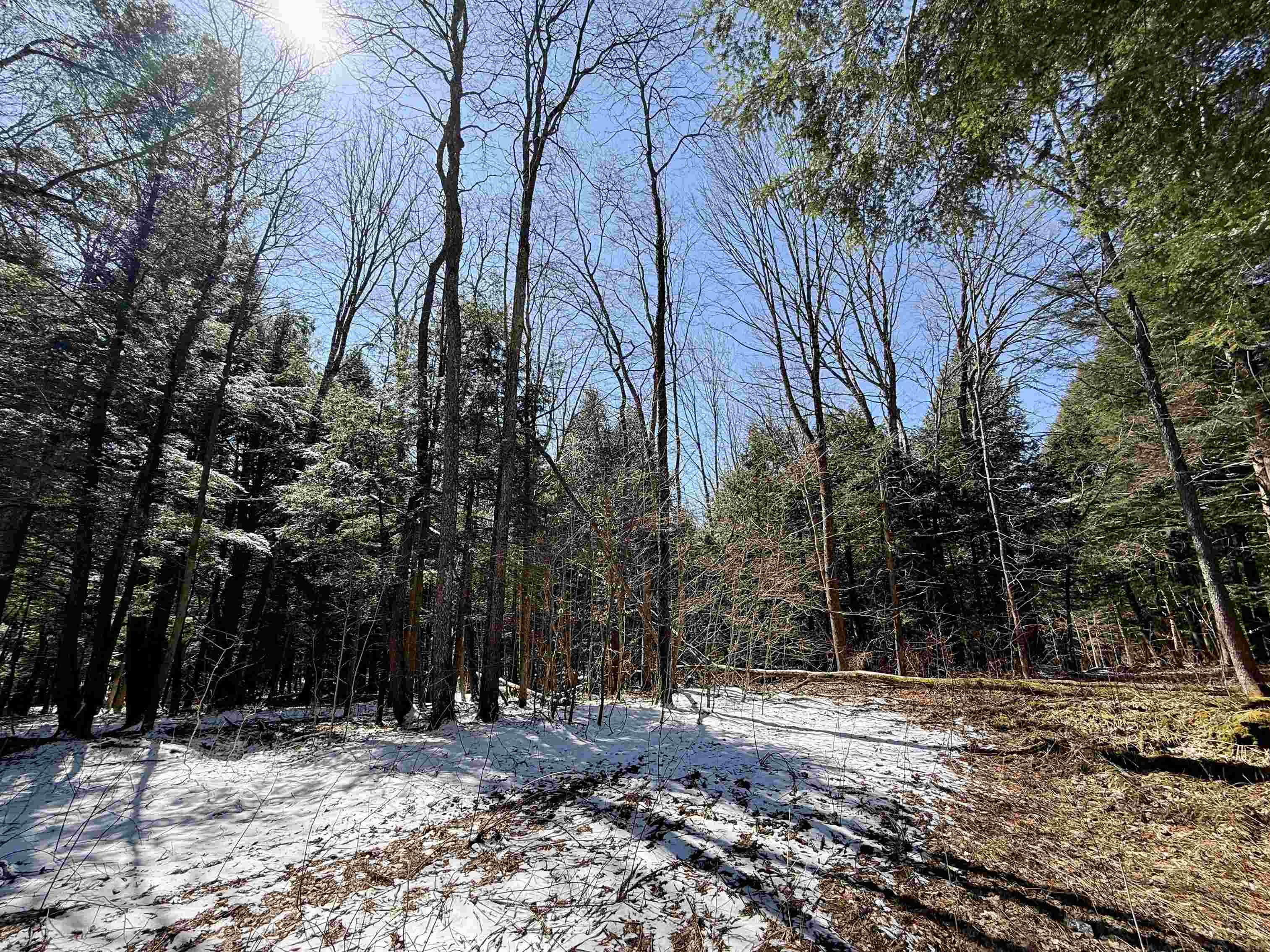 Johnson, Vermont 05656, United States, ,Land,Active,101555