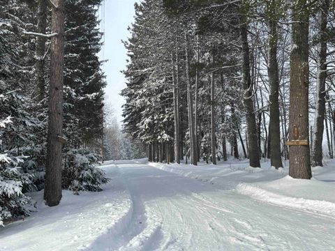 821 Paquette Road Craftsbury VT 05826