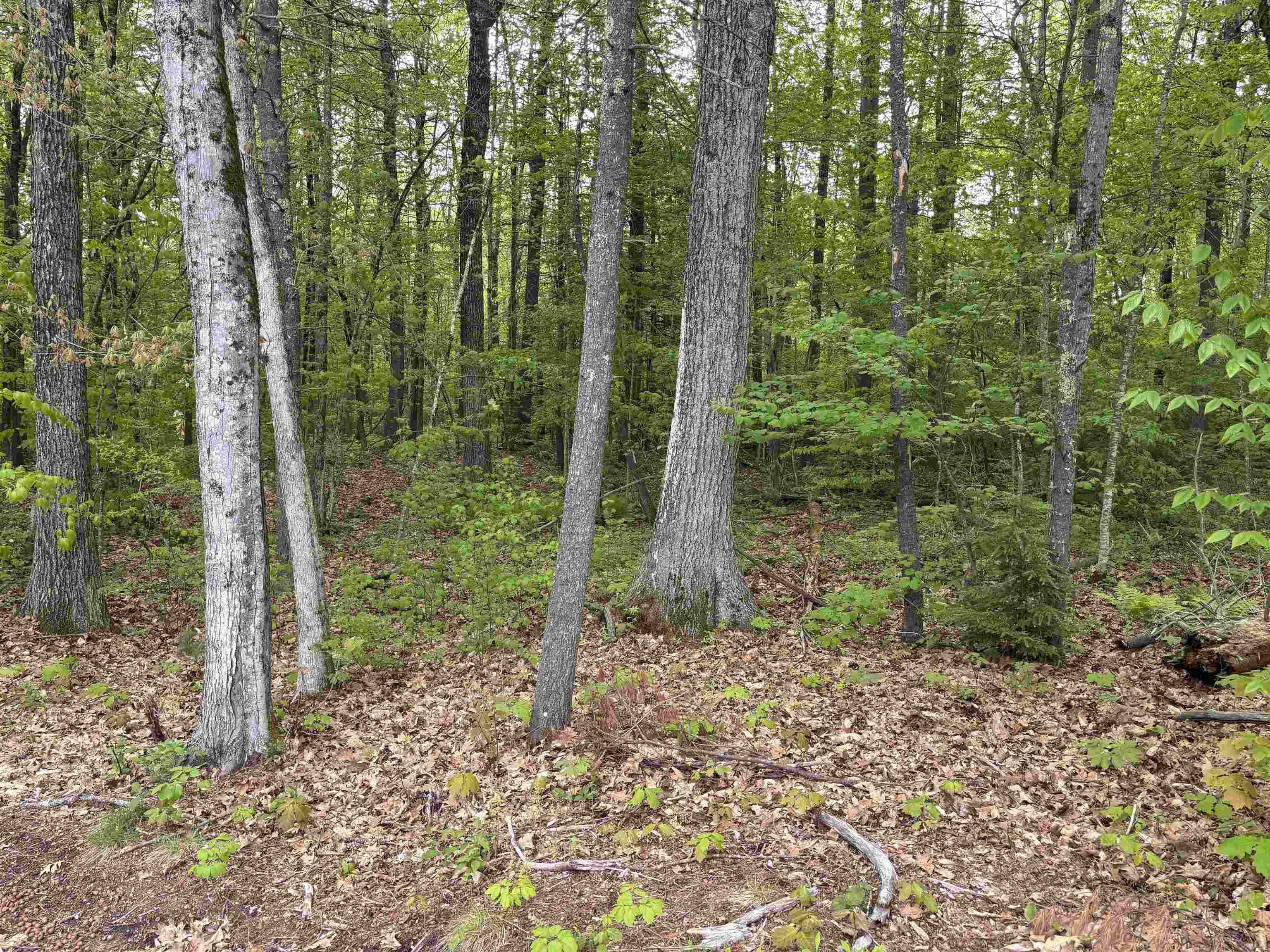 Wildcat Road Lot #10