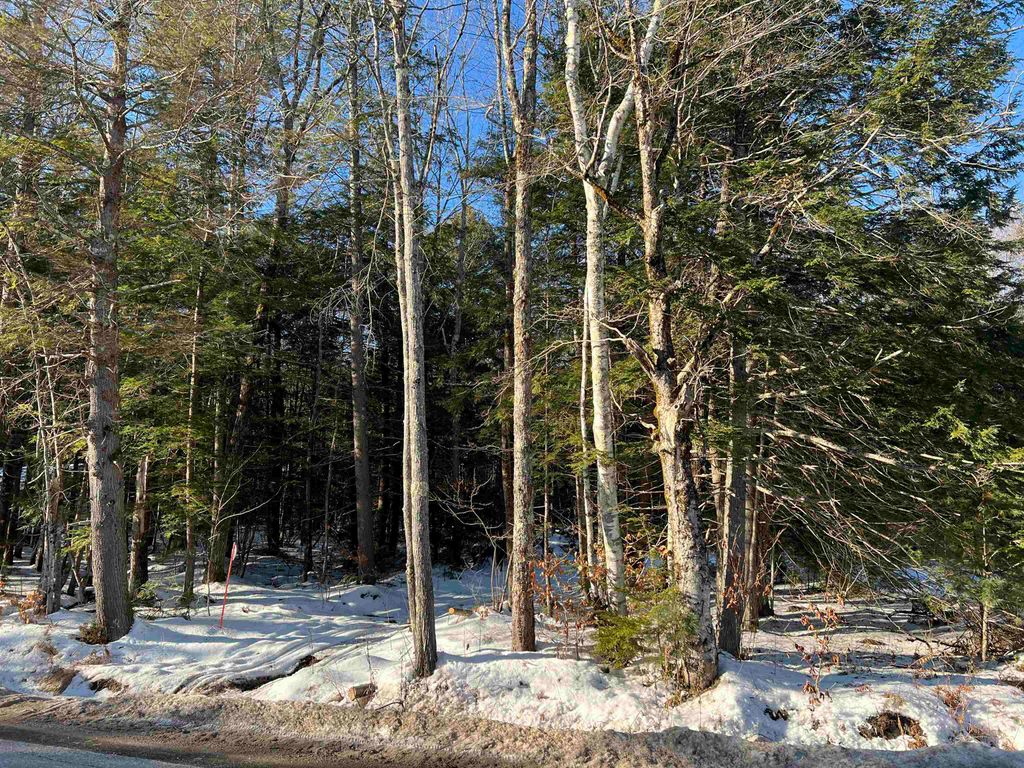 Photo of 470 Tasker Hill Road, Madison, NH 03818 (MLS # 5074179)