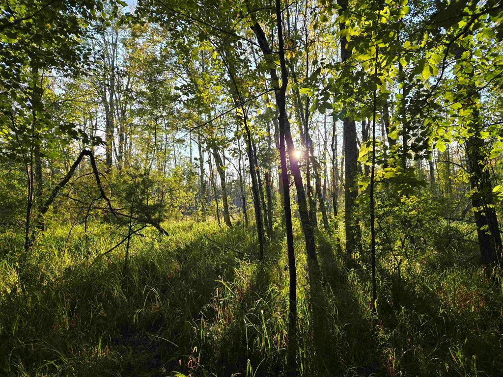 Photo of Nute Road, Madbury, NH 03023 (MLS # 5060365)