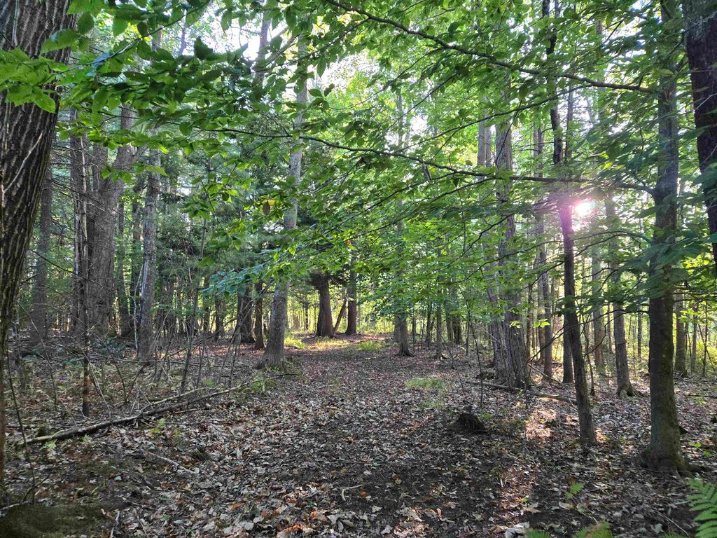 Photo of Nute Road, Madbury, NH 03023 (MLS # 5060365)
