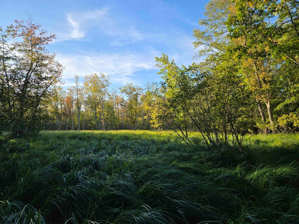 Photo of Nute Road, Madbury, NH 03023 (MLS # 5060365)