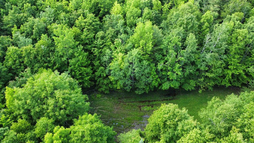 Photo of 882 Morse Road, Haverhill, NH 03774 (MLS # 5086771)