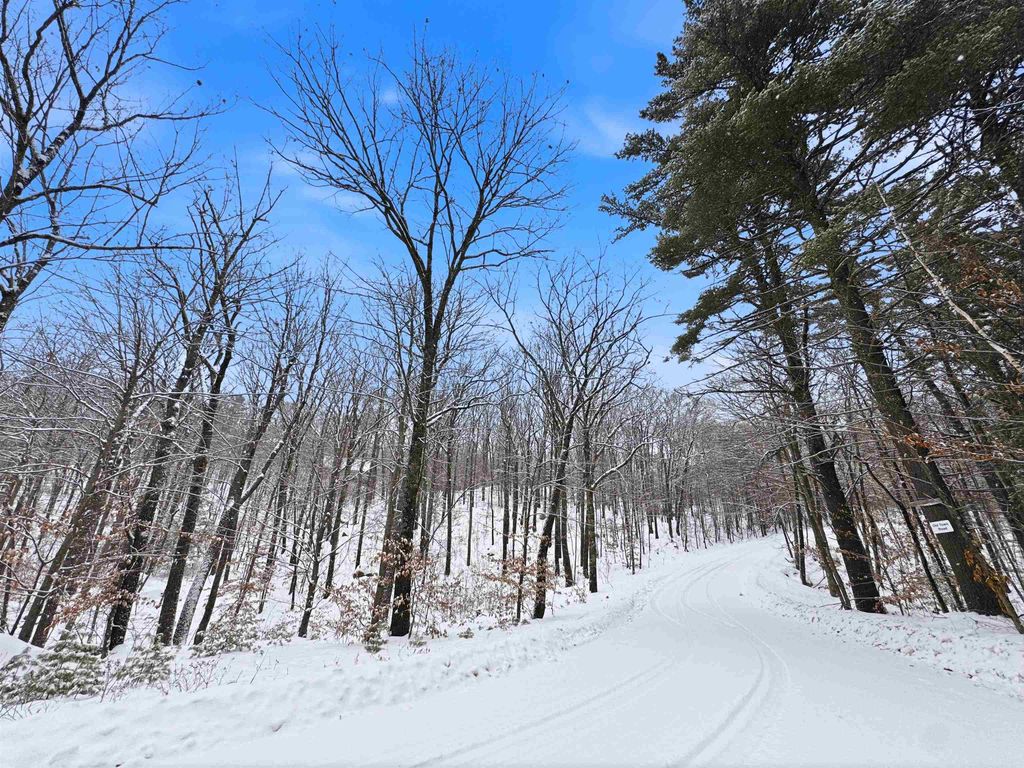 Photo of 22 West Bergamo Road, Madison, NH 03849 (MLS # 5071846)