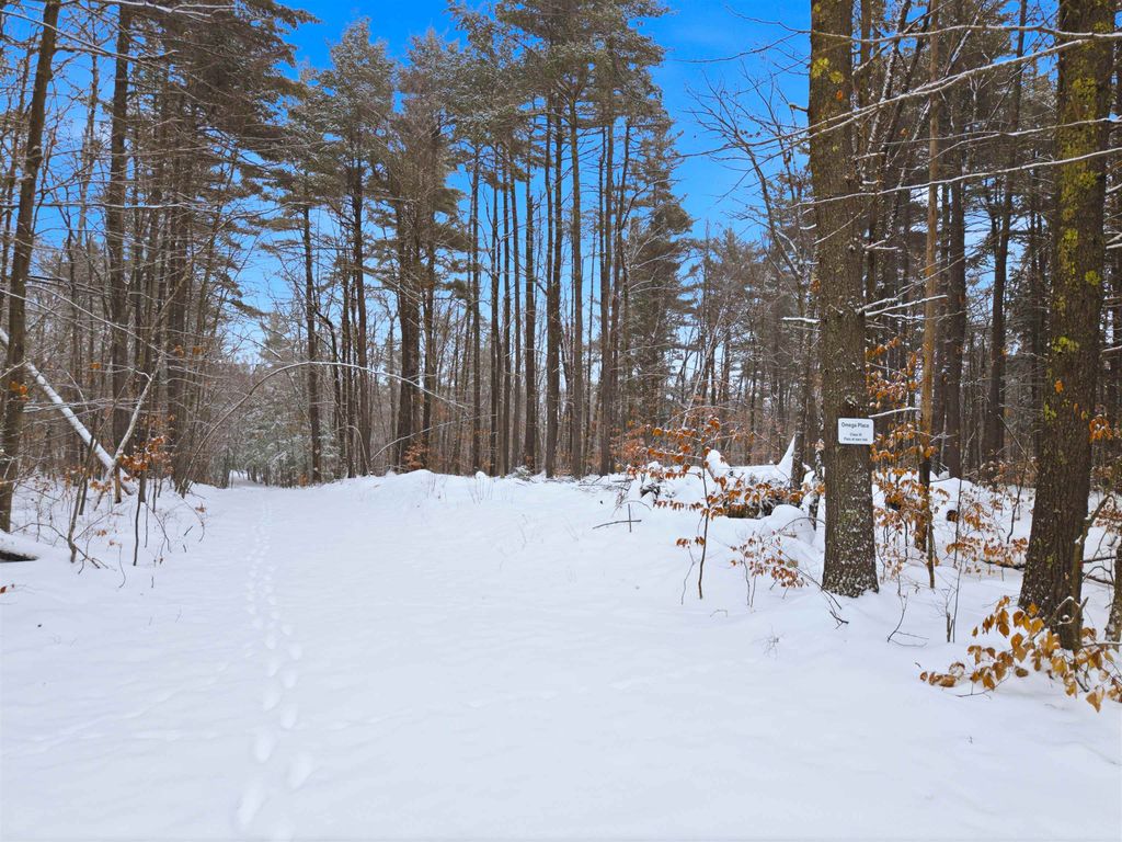 Photo of 22 West Bergamo Road, Madison, NH 03849 (MLS # 5071846)