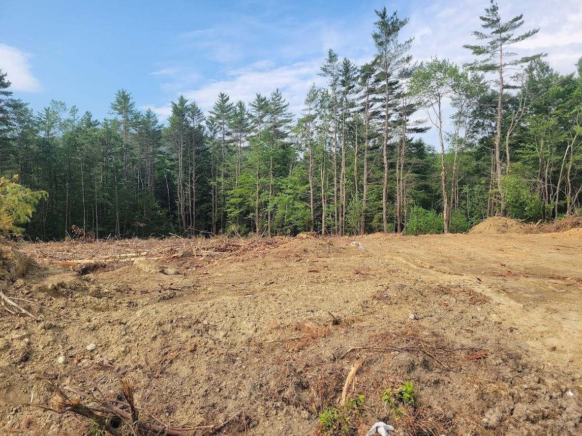 Newport, New Hampshire 03754, United States, ,Land,Active,116725