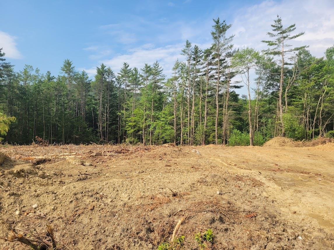 Newport, New Hampshire 03754, United States, ,Land,Active,116725