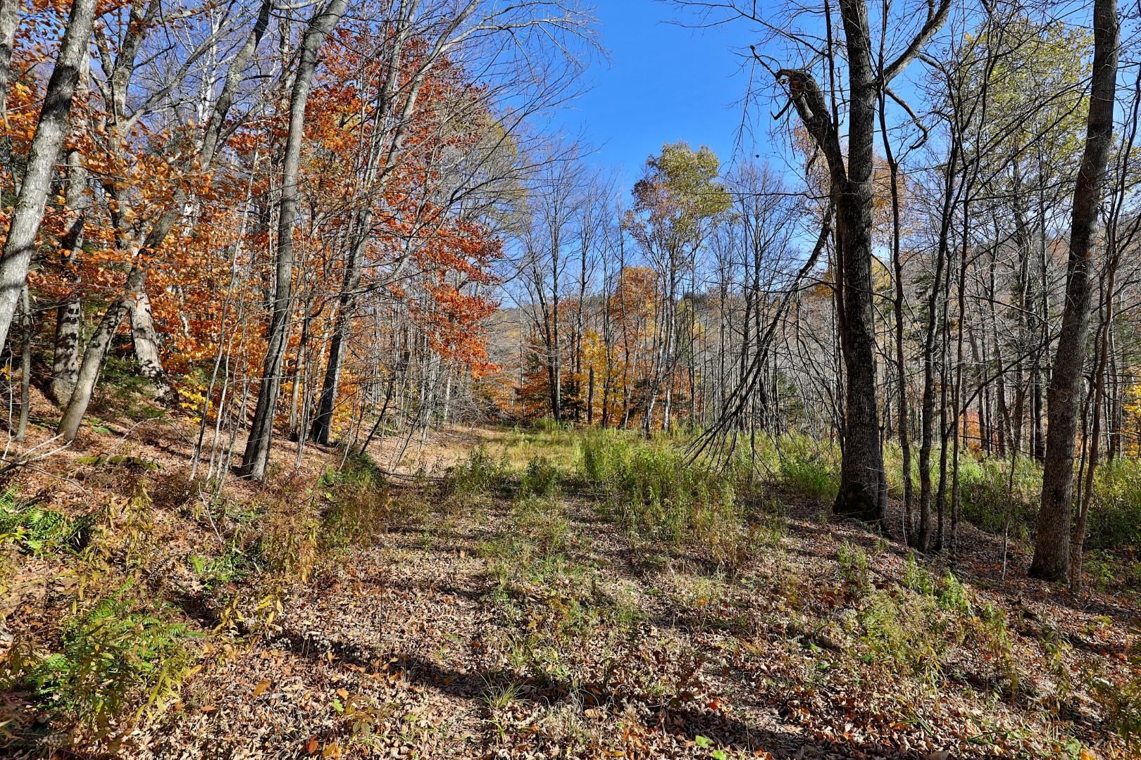 Lot 10 South Hill Road