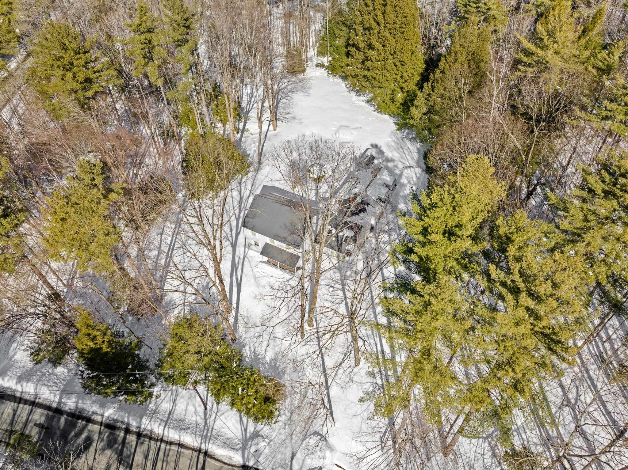 41 Foliage View Road