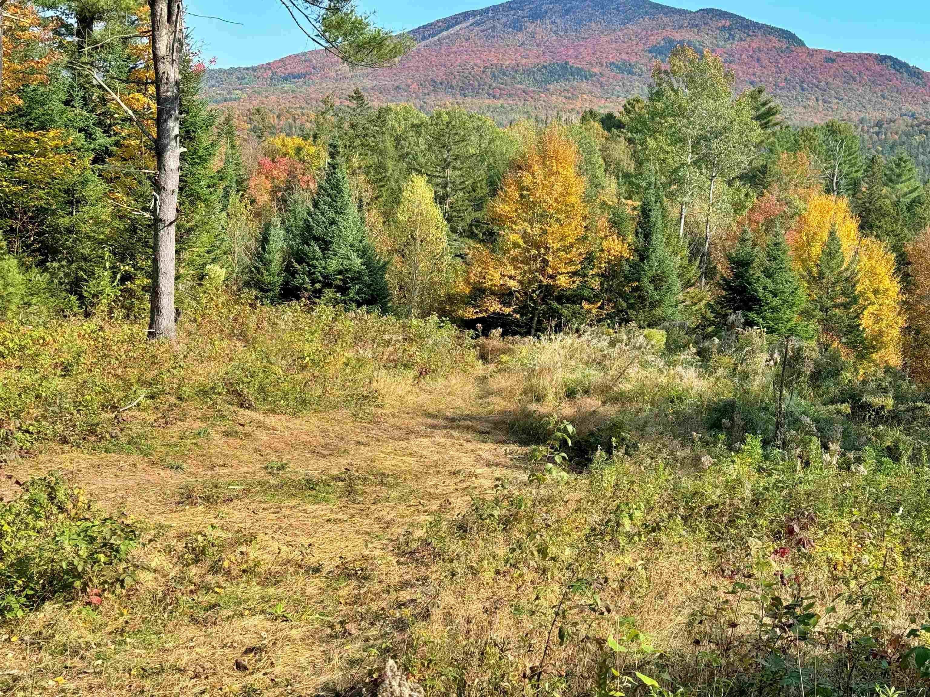 00 East Darling Hill Road Lot #2 & Lot #3