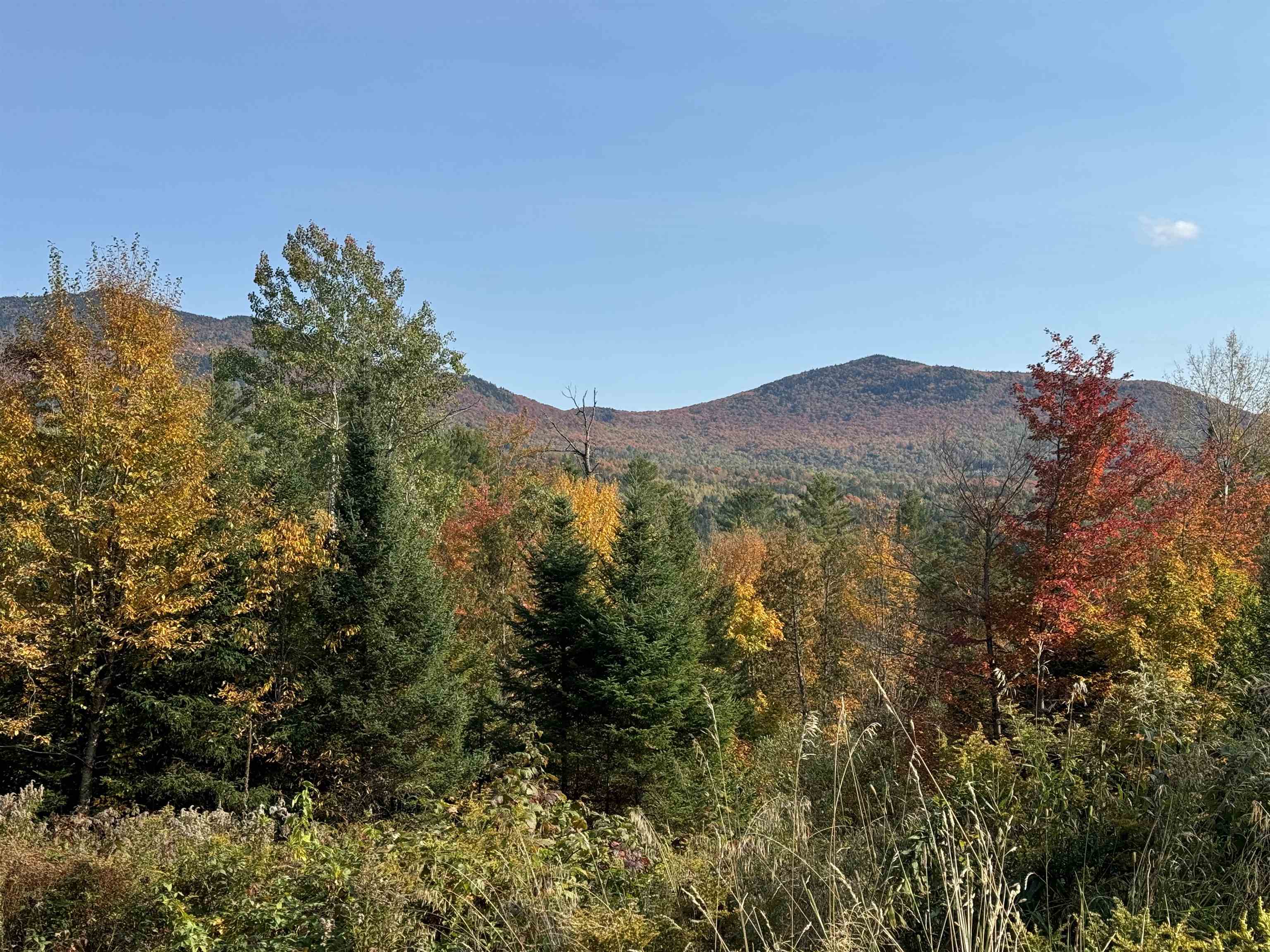 00 East Darling Hill Road Lot #2 & Lot #3