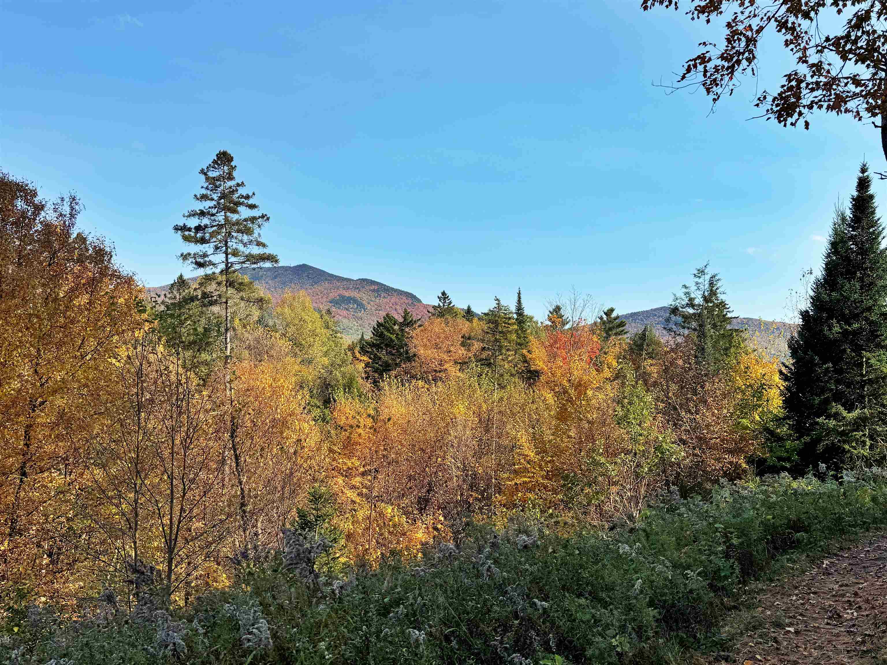 00 East Darling Hill Road Lot #2 & Lot #3