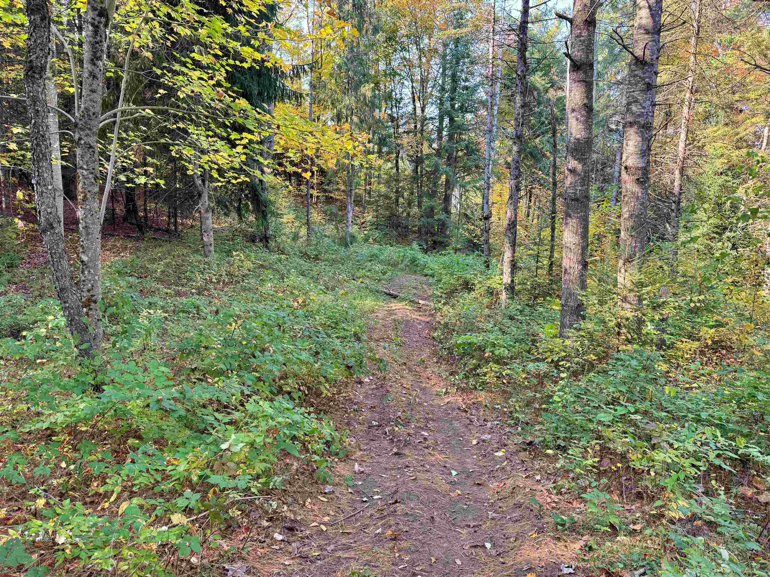 00 East Darling Hill Road Lot #2 & Lot #3