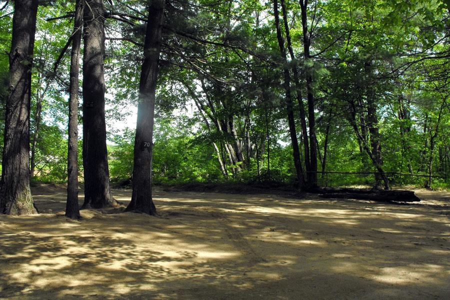 330 Newman Drew Road